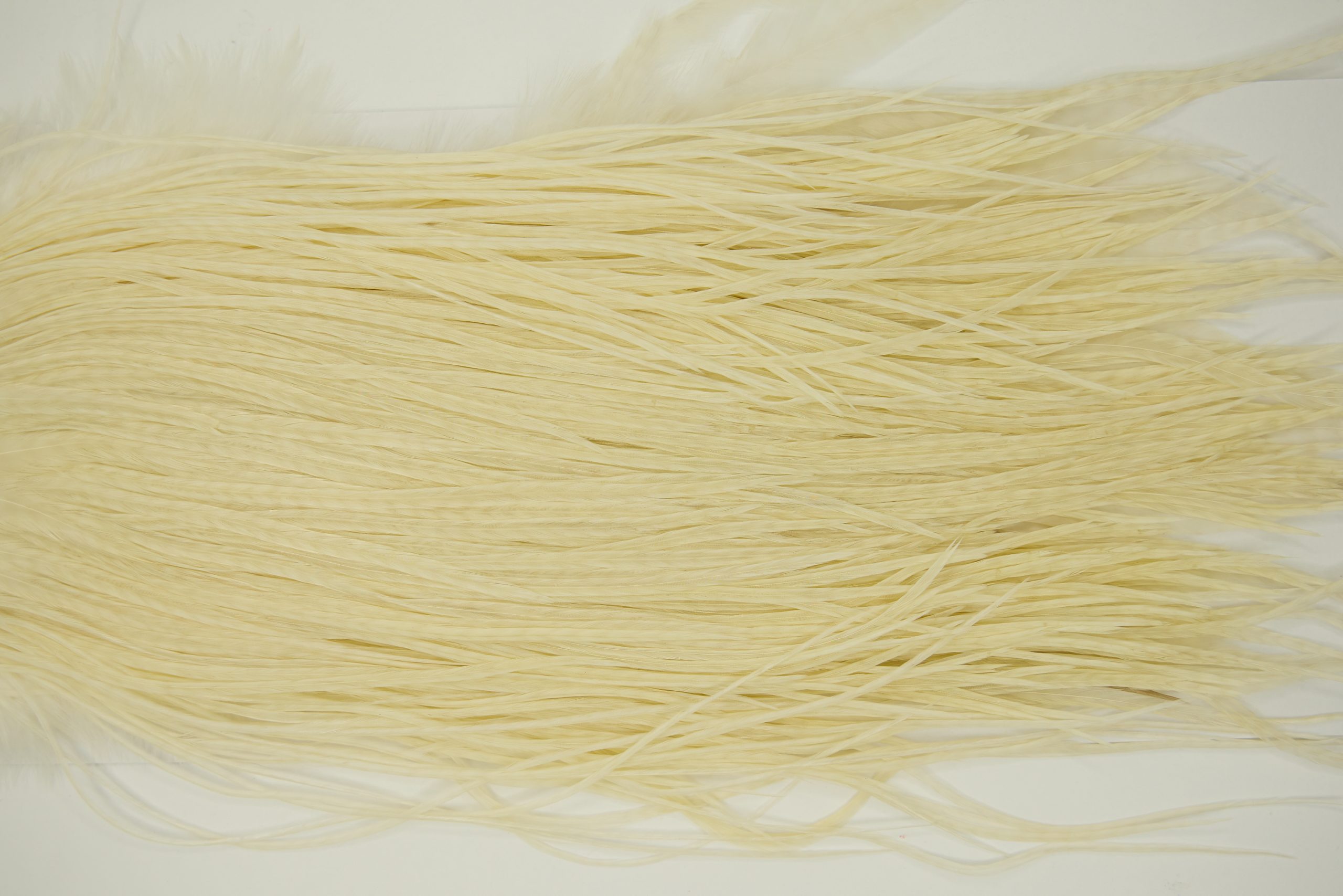 11252 Whiting Dry Fly Hackle Pro Grade Rooster Saddle White Ties Size 14-16