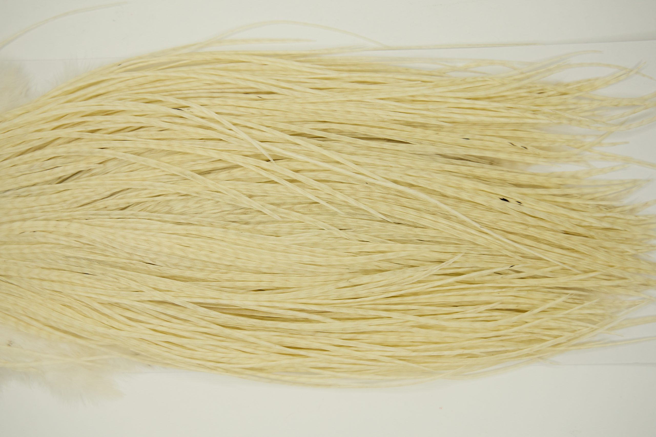 11253 Whiting Dry Fly Hackle Pro Grade Rooster Saddle White Ties Size 14-16