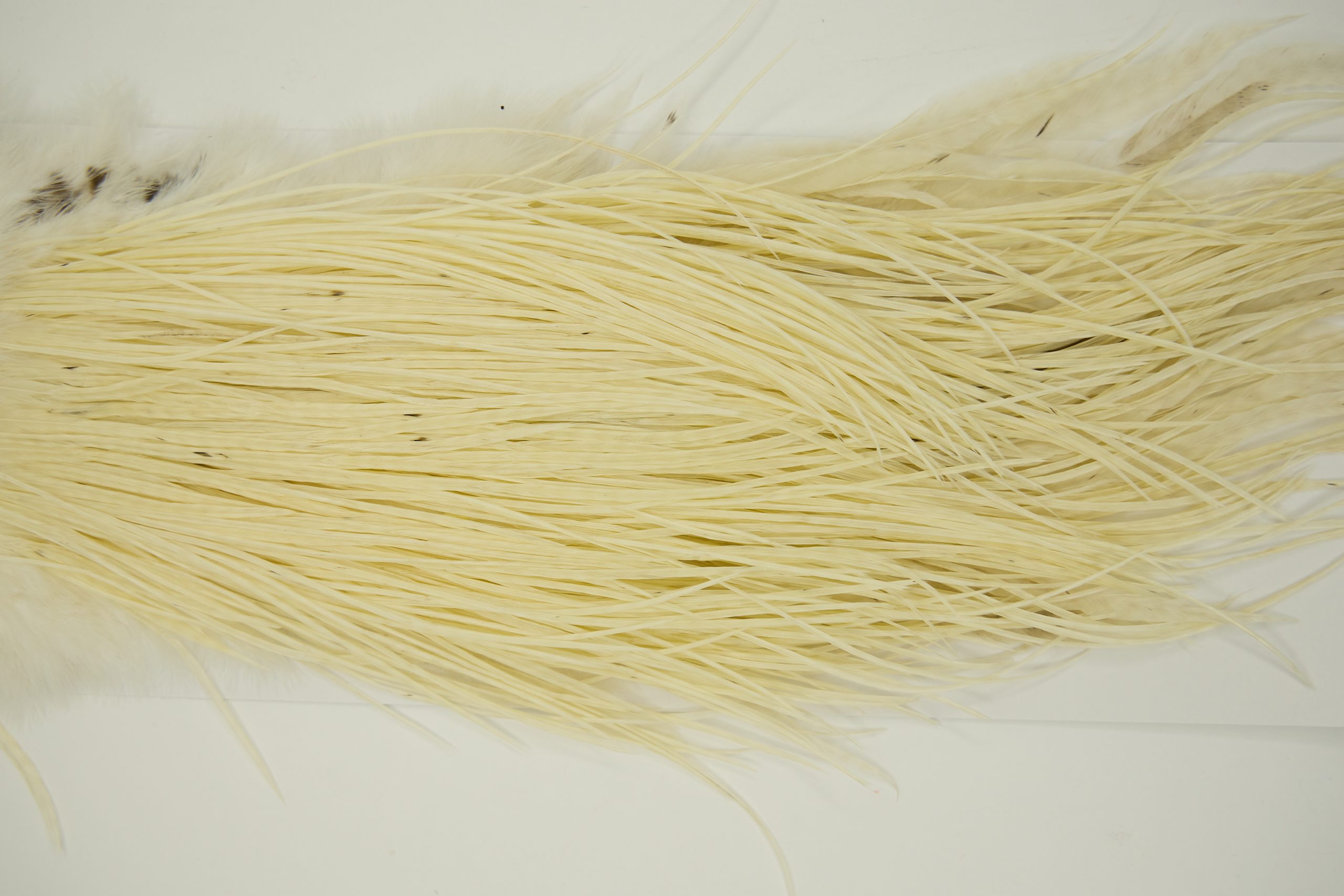 11255 Whiting Dry Fly Hackle Pro Grade Rooster Saddle White Ties Size 16-18