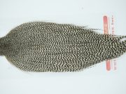 11259 Whiting Dry Fly Hackle Gold Grade Rooster Cape Grizzly Ties Size 10-24