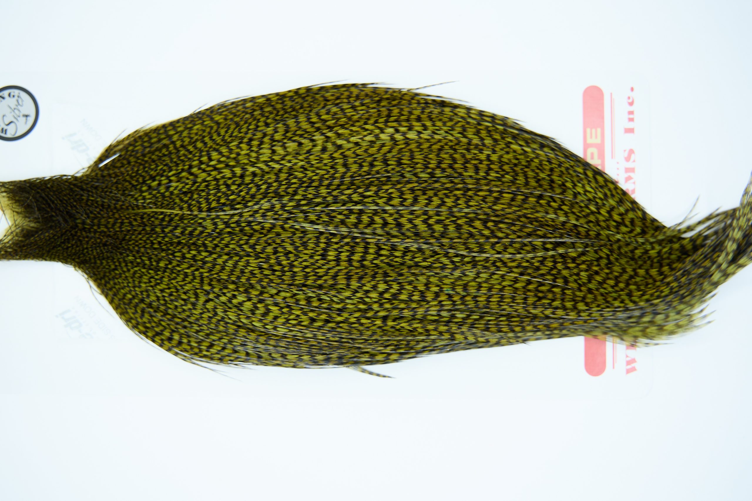 11277 Whiting Dry Fly Hackle Silver Grade Rooster Cape Grizzly Dark Olive Ties Size 8-26