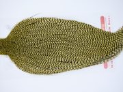 11285 Whiting Dry Fly Hackle Silver Grade Rooster Cape Grizzly Pale Yellow Ties Size 8-24