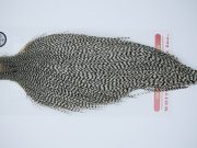 11291 Whiting Dry Fly Hackle Silver Grade Rooster Cape Grizzly Ties Size 8-26