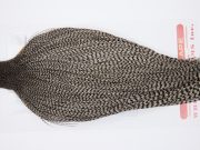 11311 Whiting Dry Fly Hackle Bronze Grade Rooster Cape Grizzly Medium Dun Ties Size 8-26