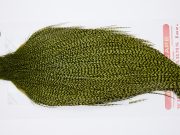 11313 Whiting Dry Fly Hackle Bronze Grade Rooster Cape Grizzly Olive Ties Size 10-26