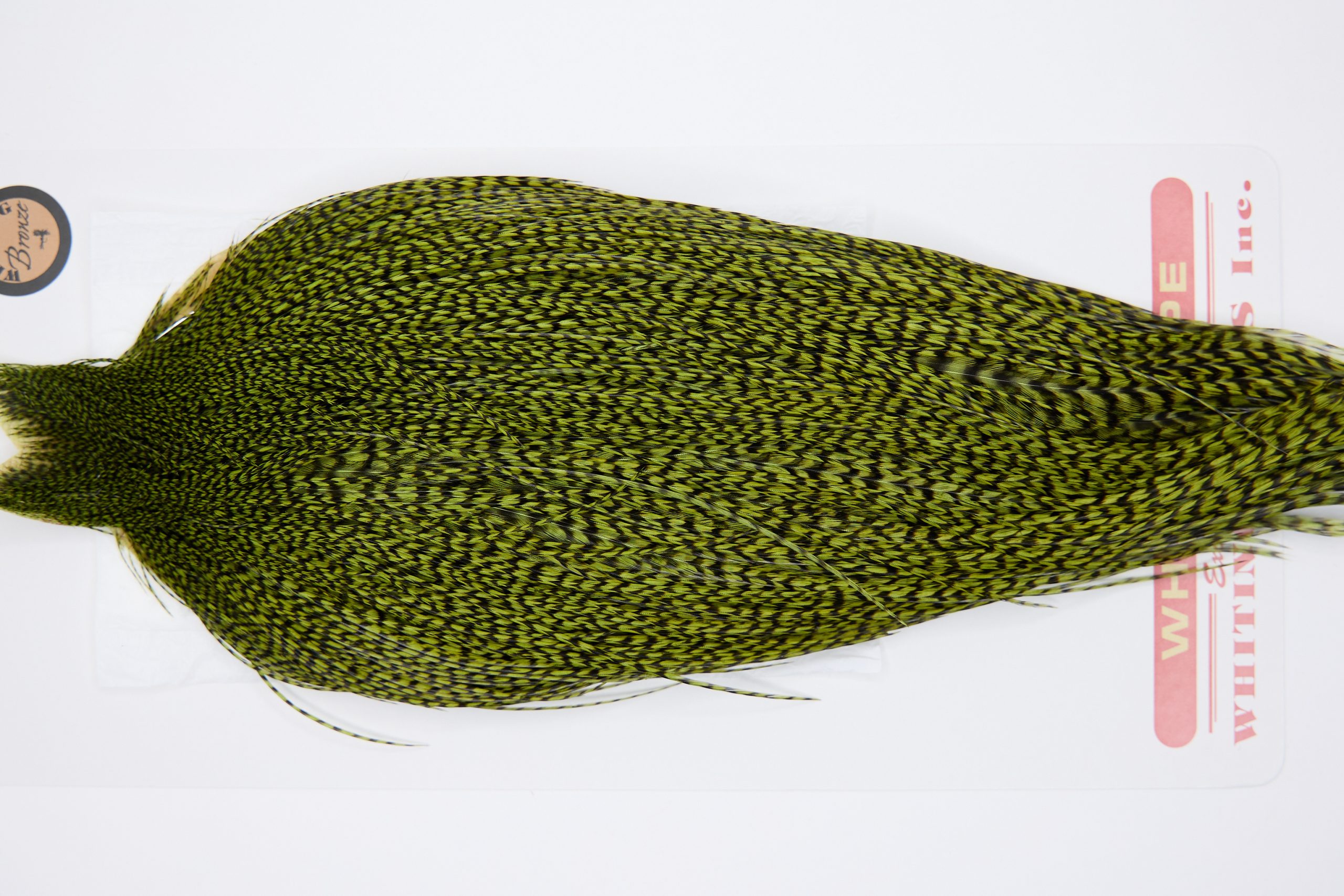 11314 Whiting Dry Fly Hackle Bronze Grade Rooster Cape Grizzly Olive Ties Size 8-26