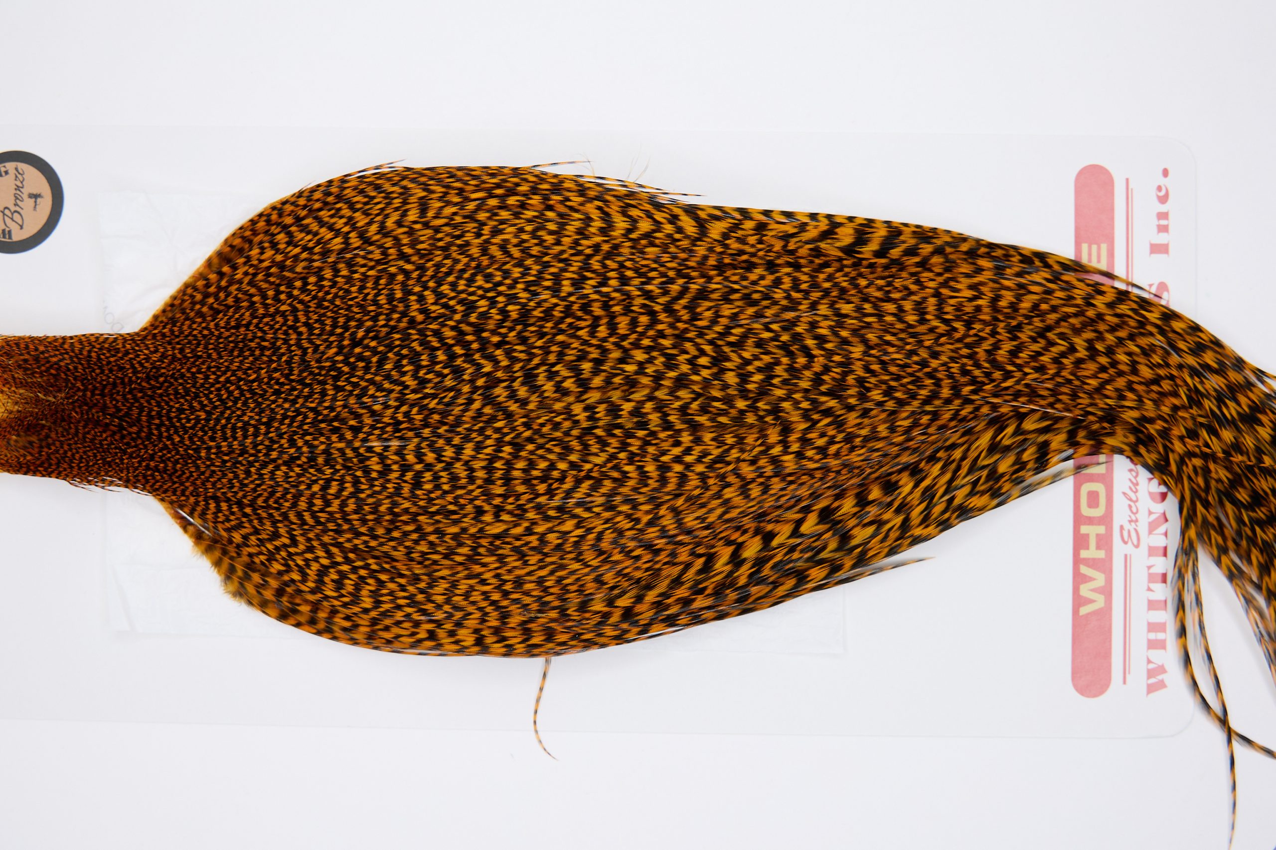 11318 Whiting Dry Fly Hackle Bronze Grade Rooster Cape Grizzly Burnt Orange Ties Size 10-26