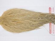 11355 Whiting Dry Fly Hackle Pro Grade Rooster Cape Variant Ties Size 12-24