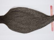 11358 Whiting Dry Fly Hackle Pro Grade Rooster Cape Grizzly Medium Dun Ties Size 8-26