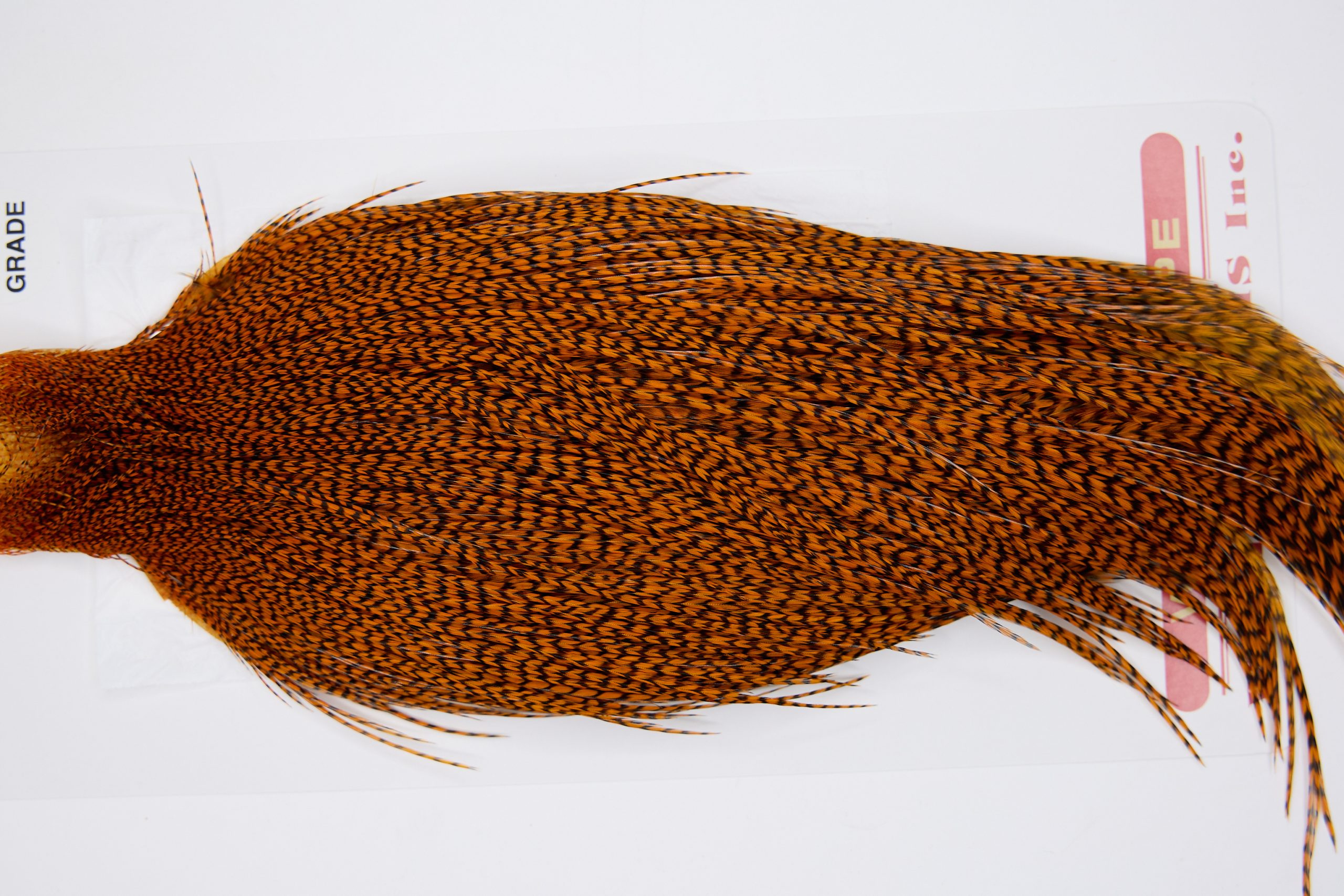 11366 Whiting Dry Fly Hackle Pro Grade Rooster Cape Grizzly Burnt Orange Ties Size 8-26