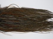 11378 JimsFlyCo Dry Fly Hackle Grade 1 Rooster Saddle Cree Ties Size 16-18