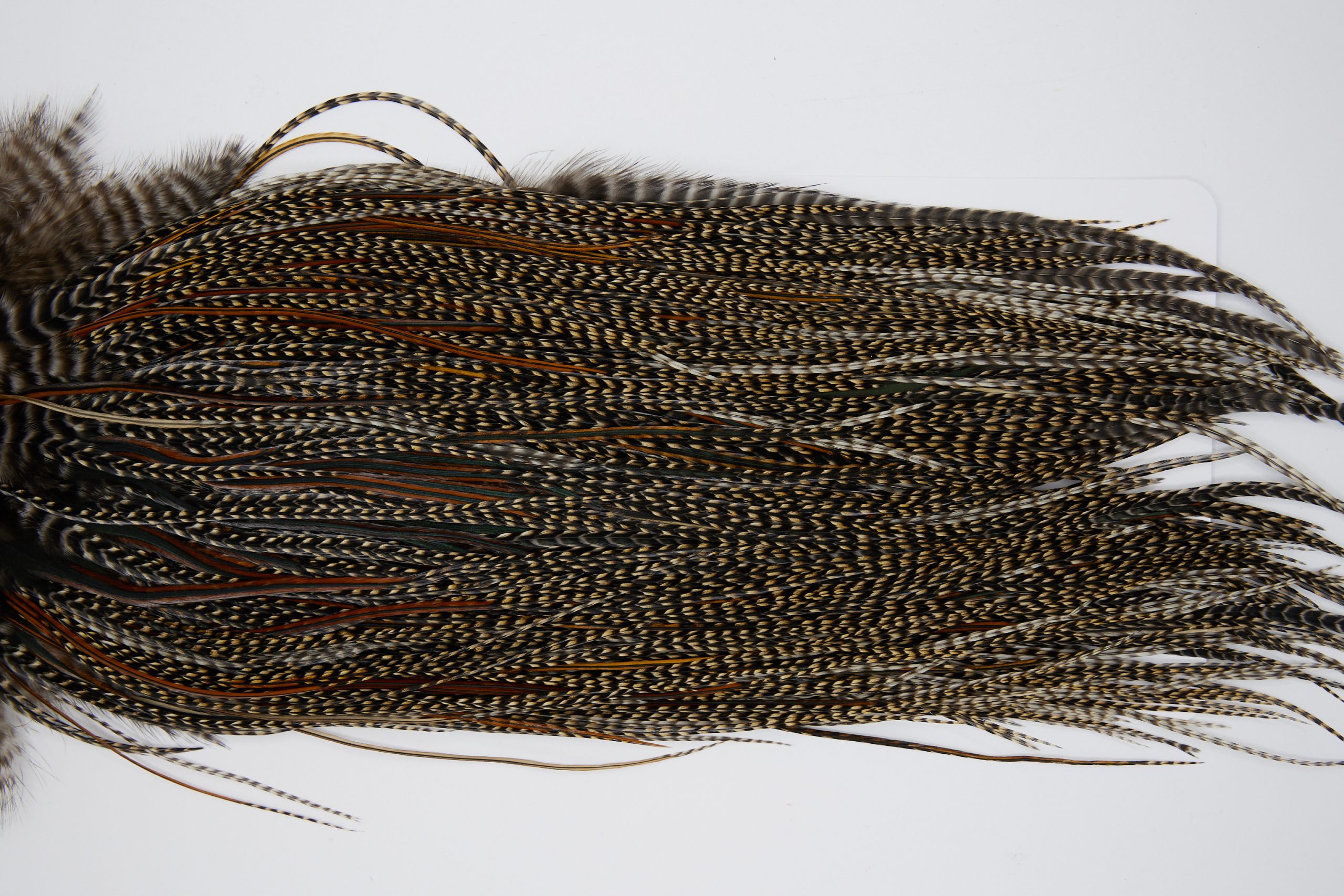 11378 JimsFlyCo Dry Fly Hackle Grade 1 Rooster Saddle Cree Ties Size 16-18