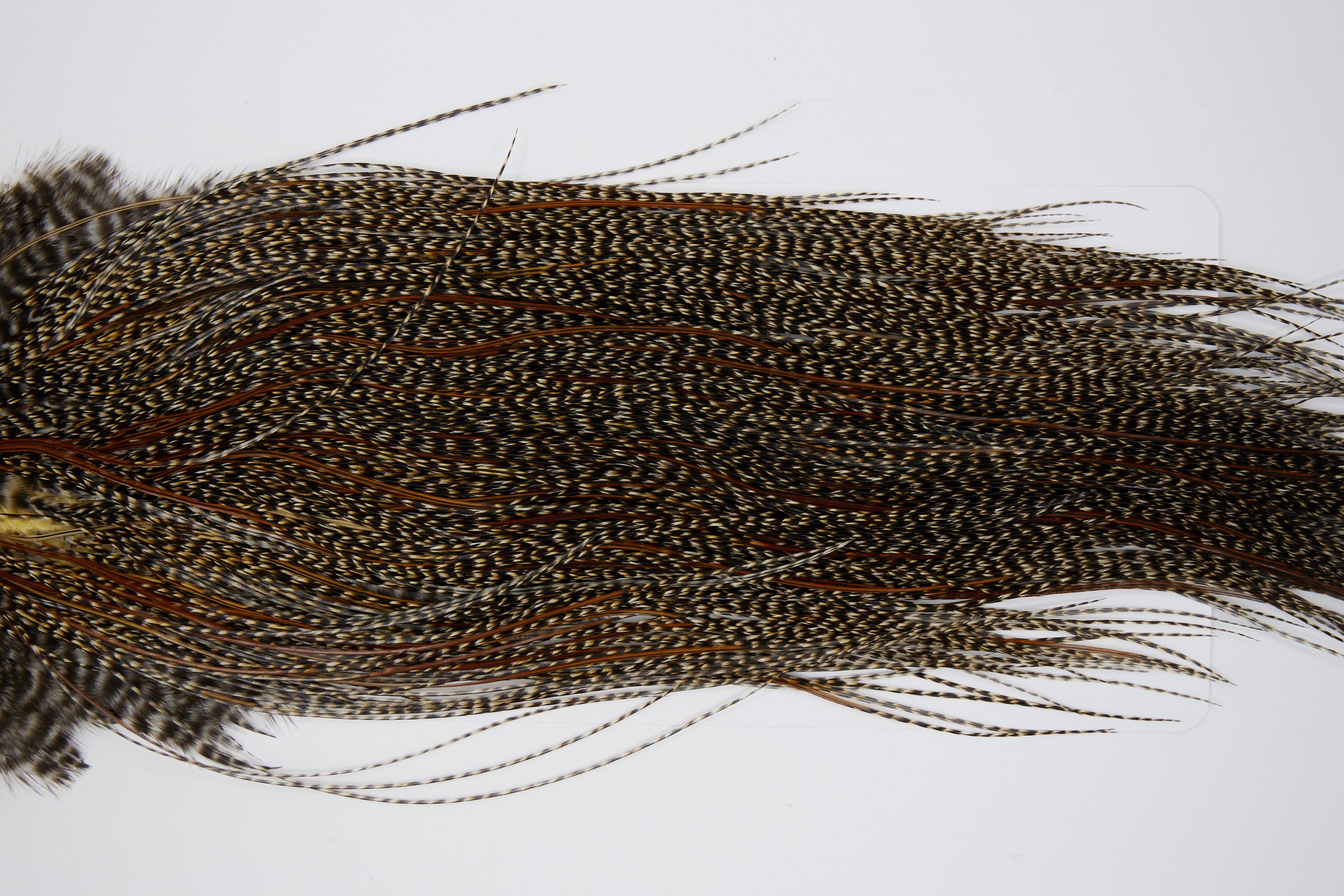 11379 JimsFlyCo Dry Fly Hackle Grade 1 Rooster Saddle Cree Ties Size 18-22