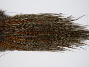 11380 JimsFlyCo Dry Fly Hackle Grade 1 Rooster Saddle Cree Ties Size 18-20