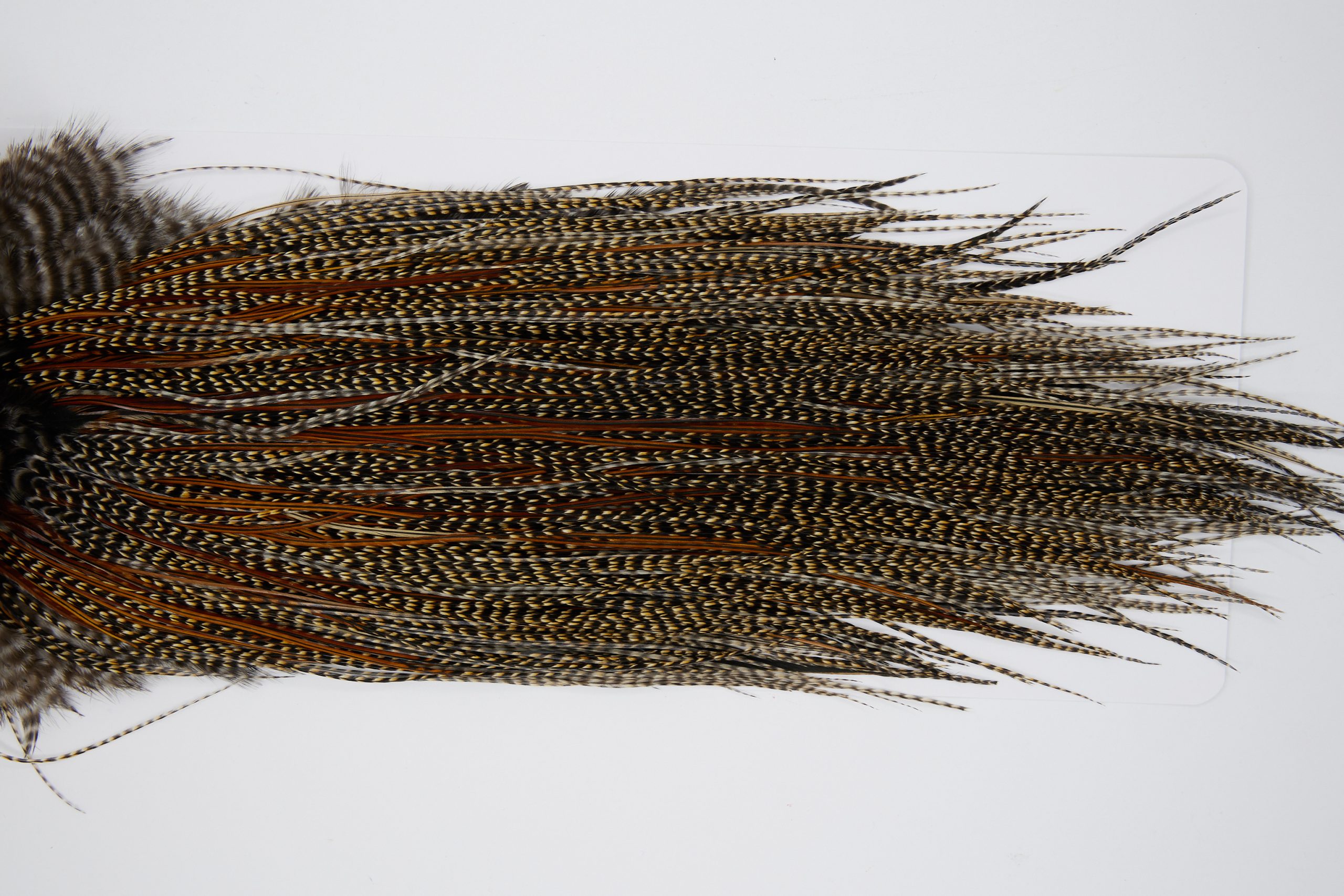 11380 JimsFlyCo Dry Fly Hackle Grade 1 Rooster Saddle Cree Ties Size 18-20