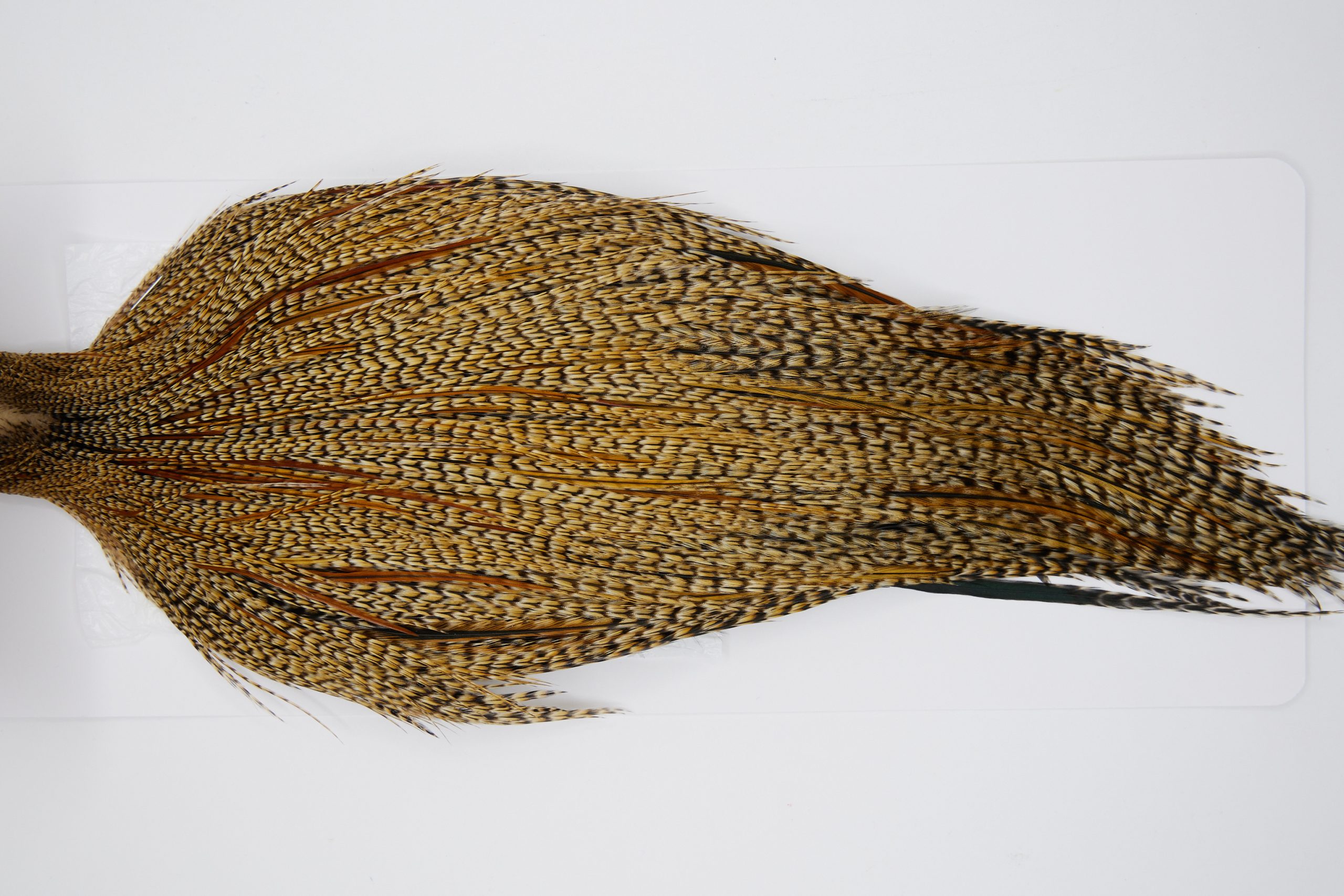 11383 JimsFlyCo Dry Fly Hackle Grade 1 Rooster Cape Cree Ties Size 10-24