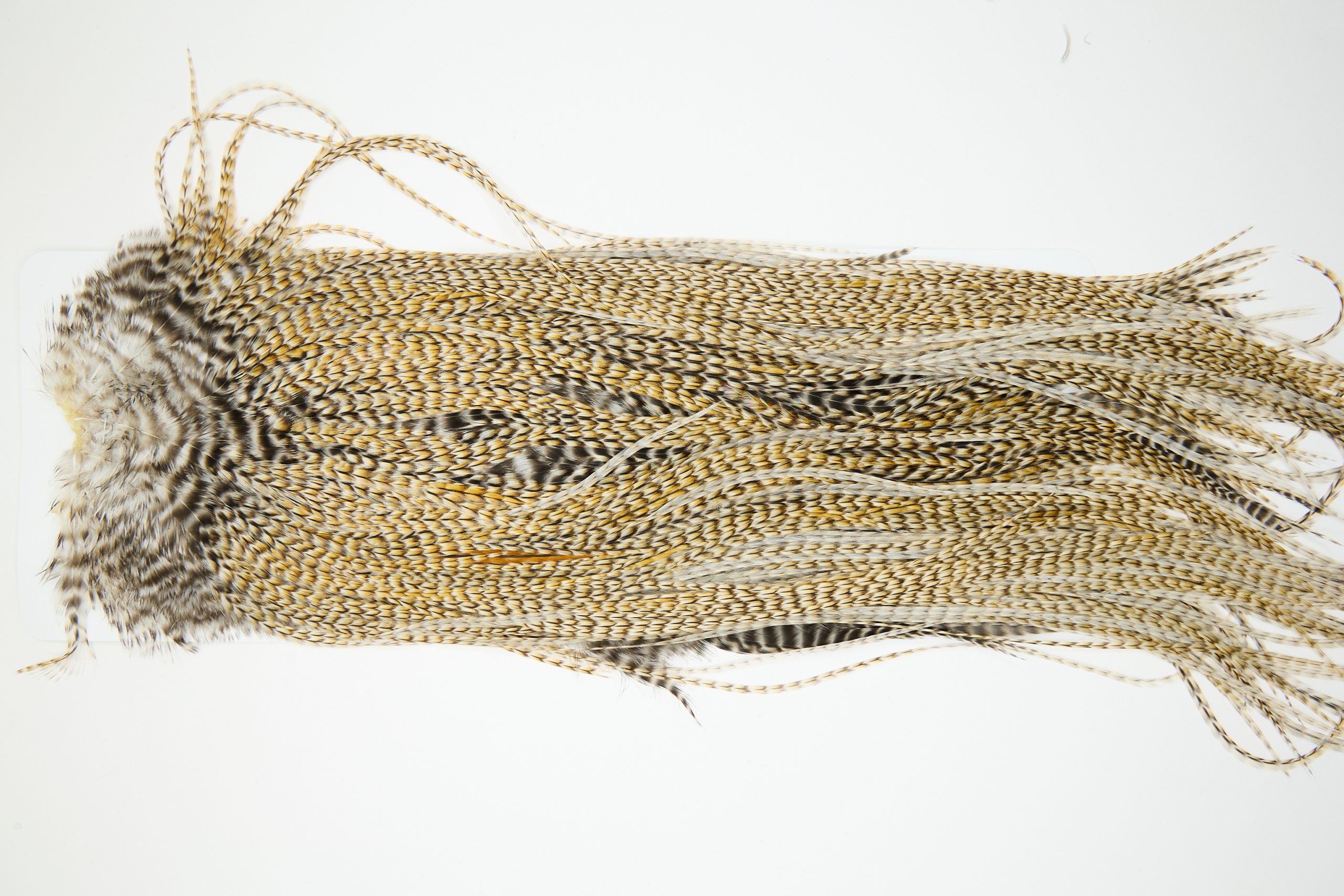 11387 JimsFlyCo Dry Fly Hackle Rhodium Rooster Saddle Cree Variant Ties Size 12-14