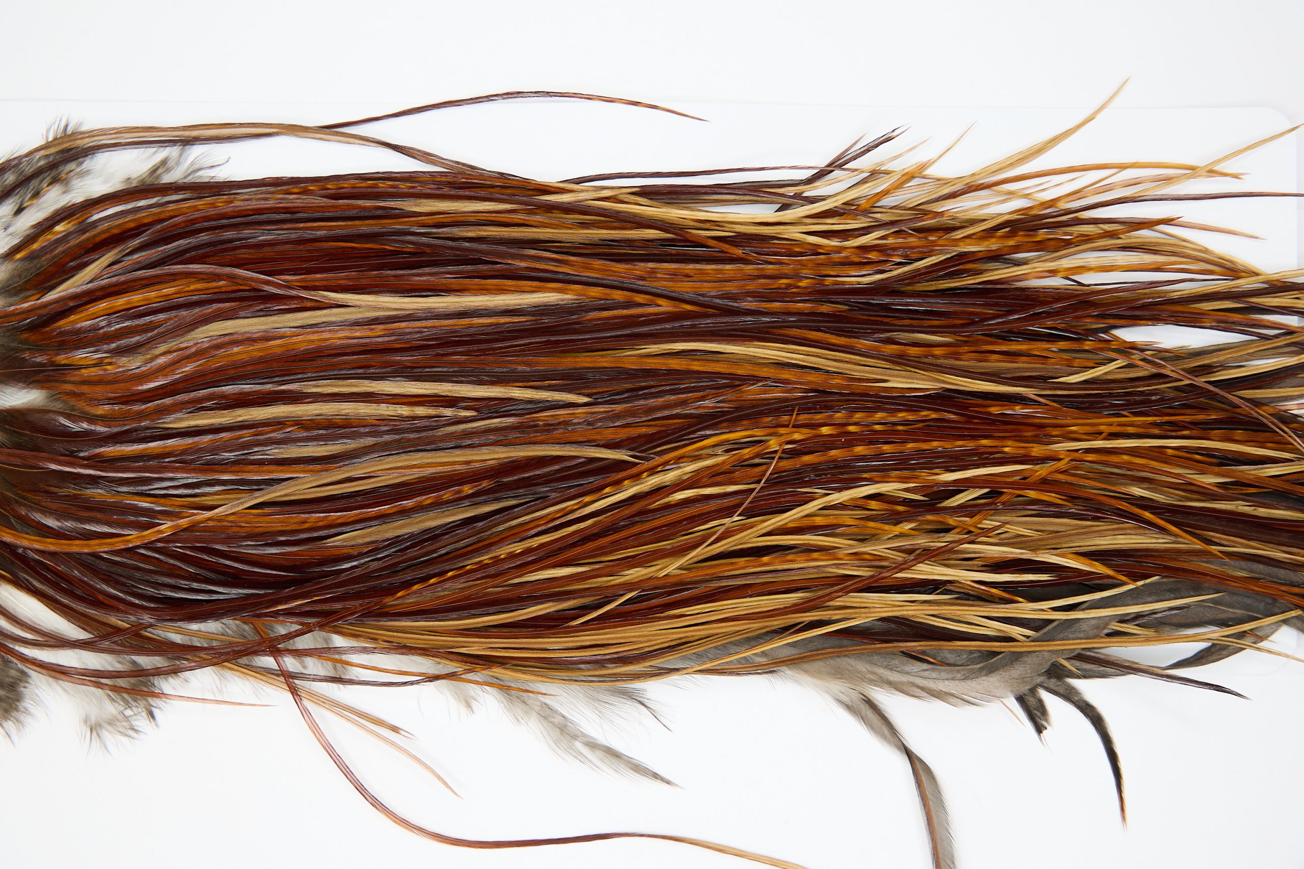 11392 JimsFlyCo Dry Fly Hackle Rhodium Rooster Saddle Variant Ties Size 12-16