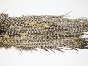 11394 JimsFlyCo Dry Fly Hackle Rhodium Rooster Saddle Grizzly Variant Ties Size 8-10