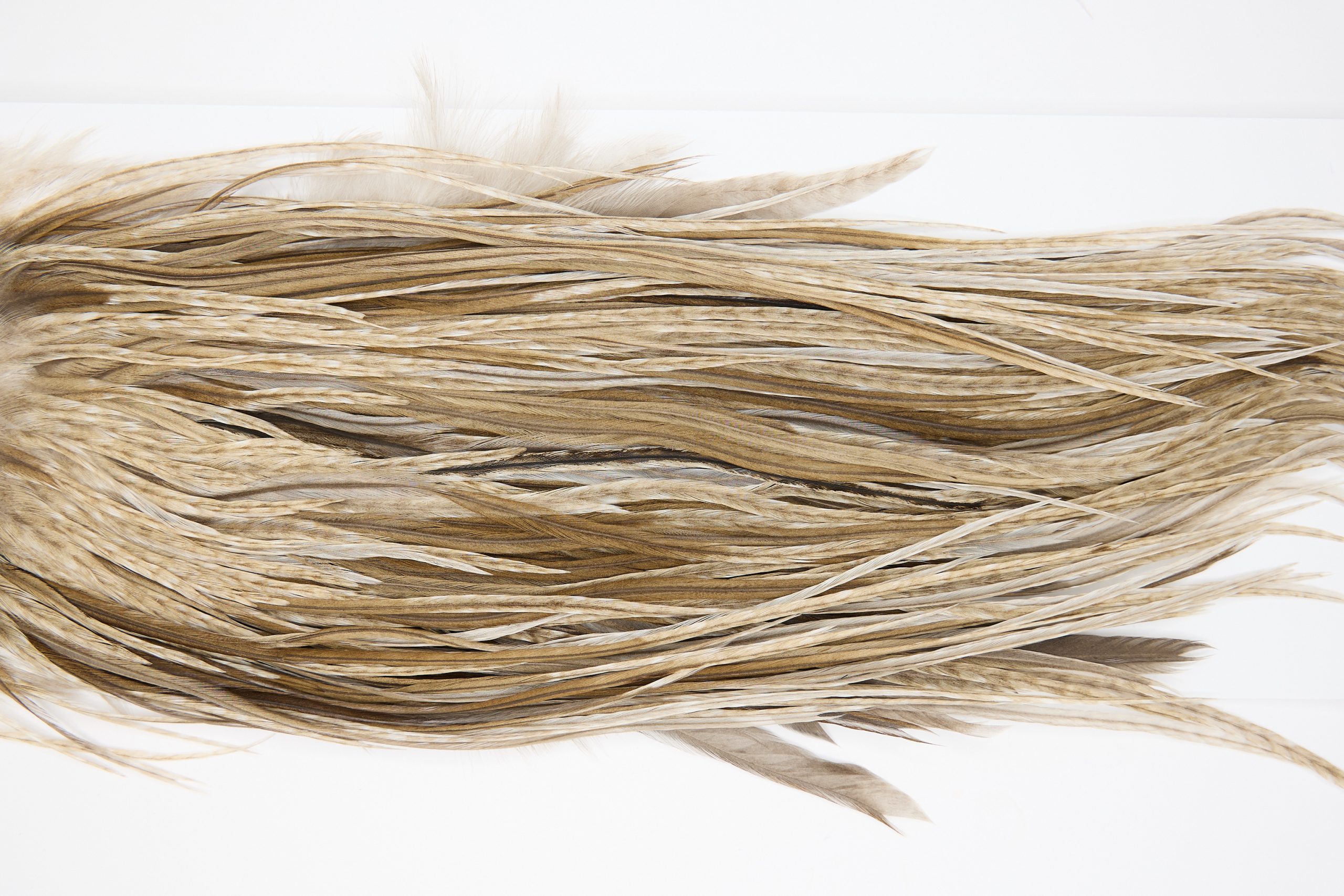 11399 JimsFlyCo Dry Fly Hackle Grade 1 Rooster Saddle Variant Ties Size 12-14