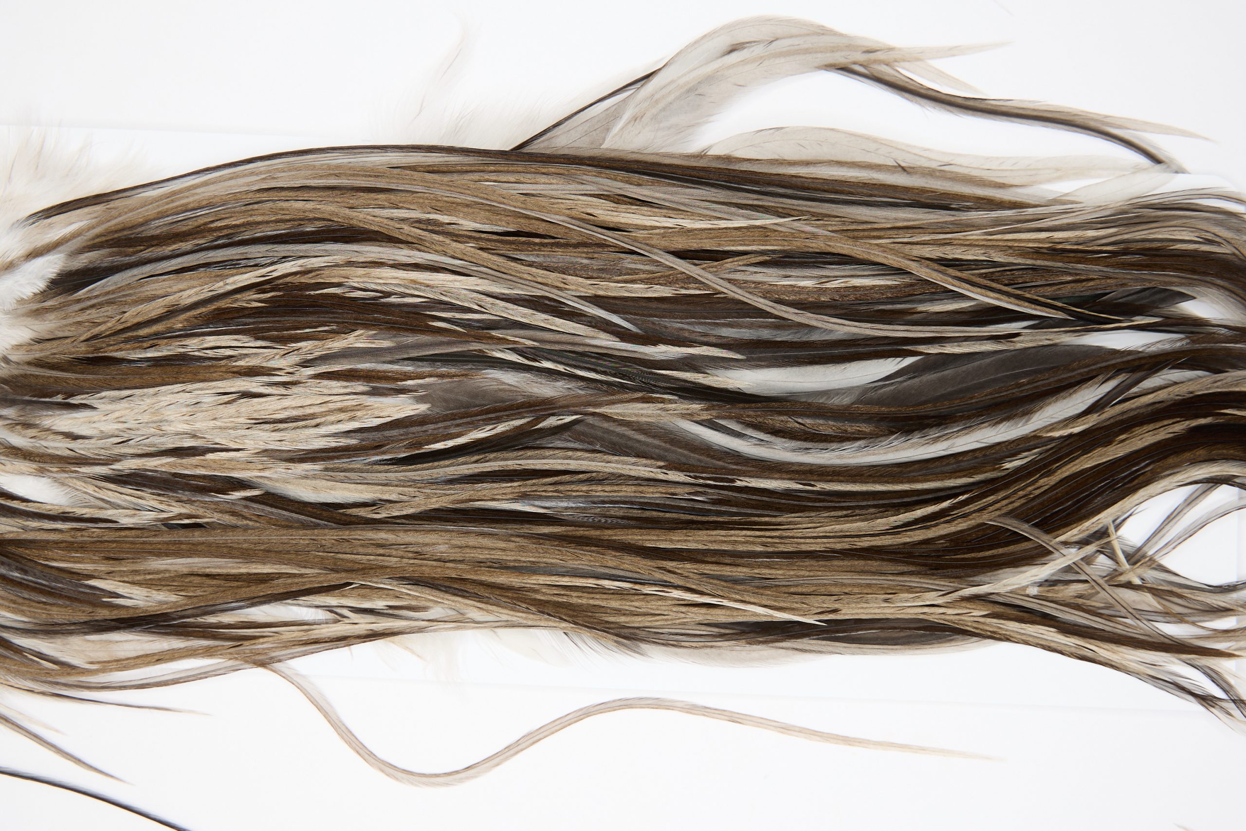 11400 JimsFlyCo Dry Fly Hackle Grade 1 Rooster Saddle Dun Splash Ties Size 12-14