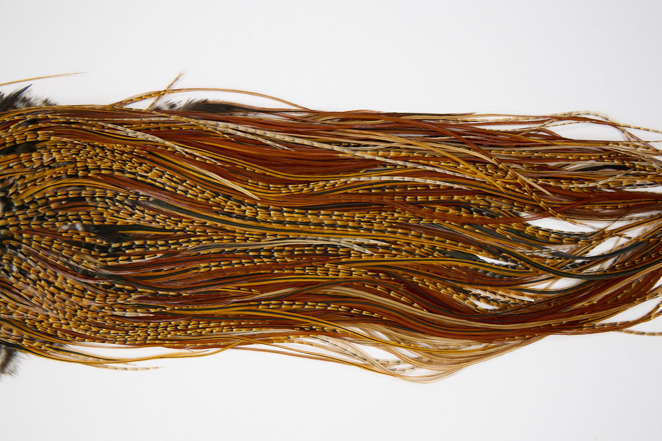 11410 JimsFlyCo Dry Fly Hackle Grade 1 Rooster Saddle Cree Variant Ties Size 12-14