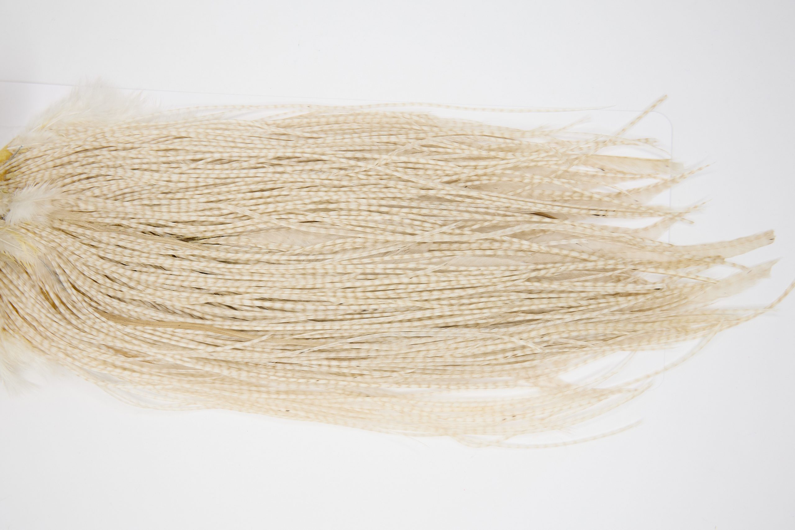 11411 JimsFlyCo Dry Fly Hackle Grade 2 Rooster Saddle Variant Ties Size 14-16