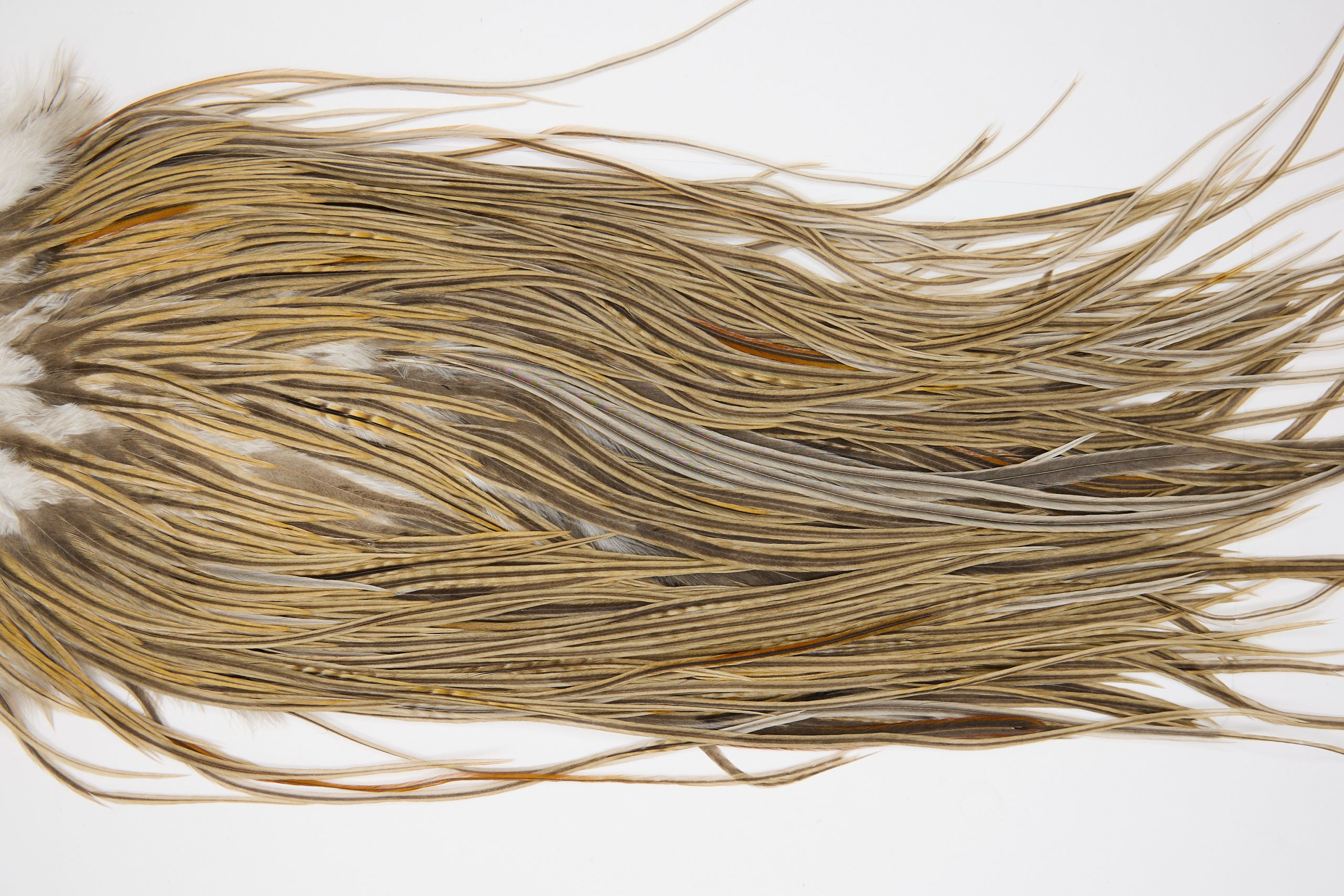 11412 JimsFlyCo Dry Fly Hackle Grade 2 Rooster Saddle Variant Ties Size 12-14