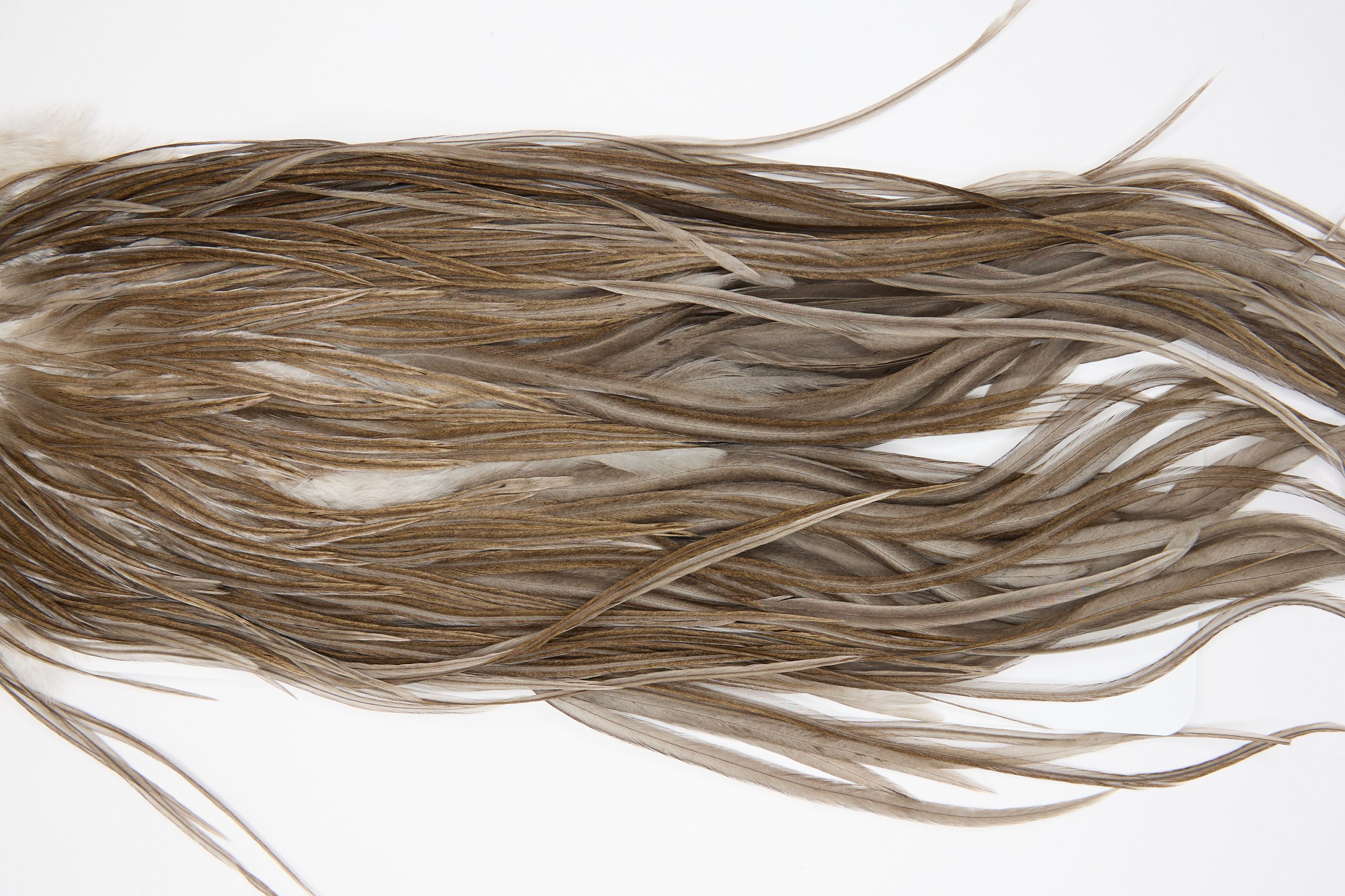 11422 JimsFlyCo Dry Fly Hackle Grade 2 Rooster Saddle Medium Dun Ties Size 10-12