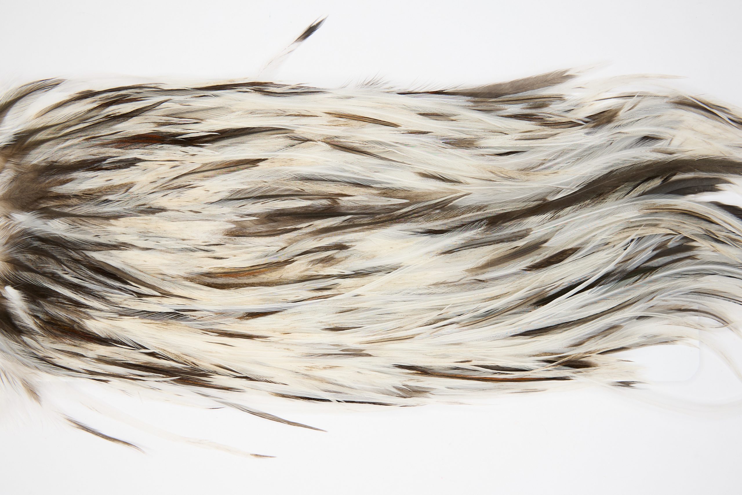 11427 JimsFlyCo Dry Fly Hackle Grade 2 Rooster Saddle Dun Splash Ties Size 10