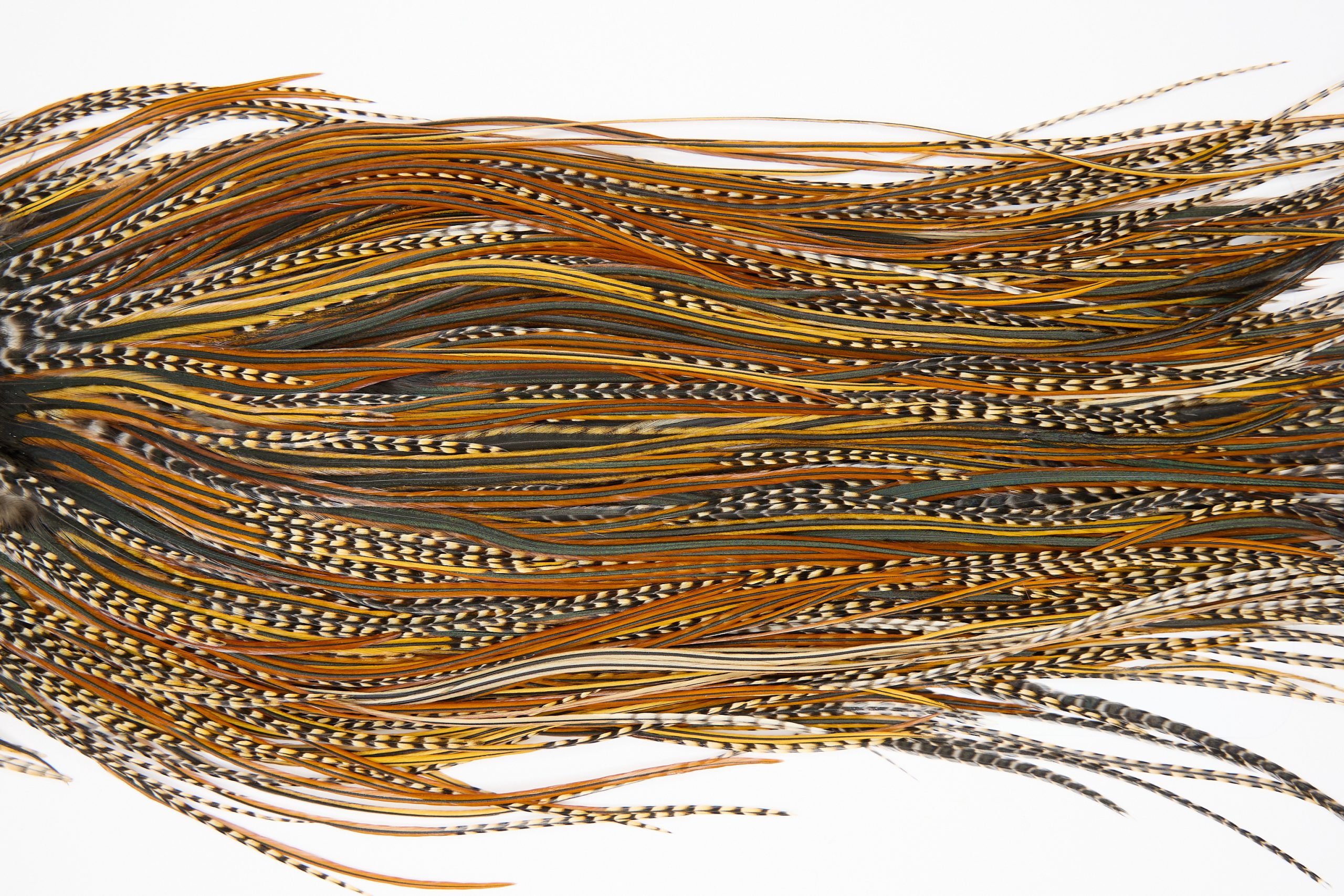 11429 JimsFlyCo Dry Fly Hackle Grade 2 Rooster Saddle Cree Variant Ties Size 12-14