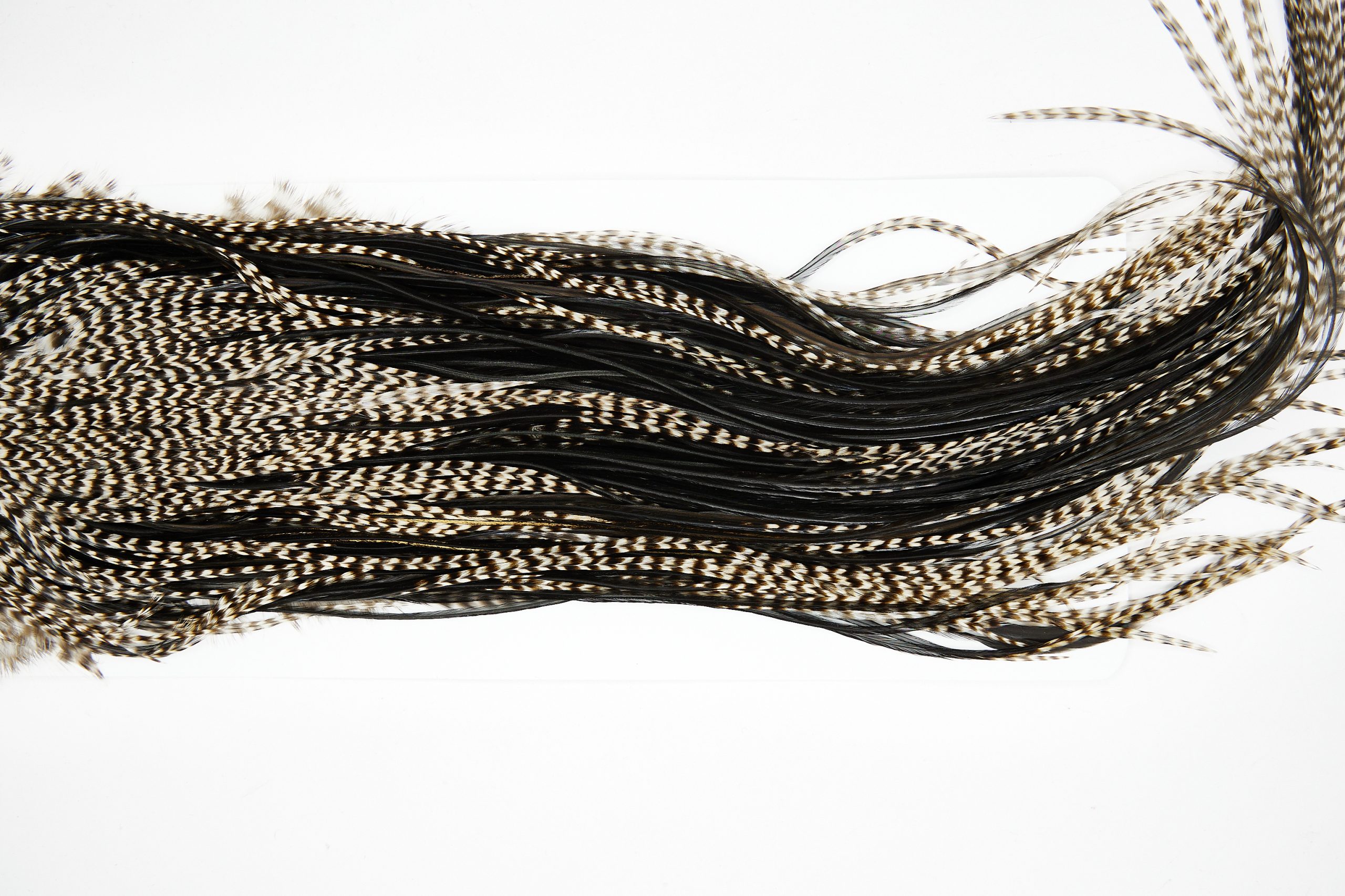 11430 JimsFlyCo Dry Fly Hackle Grade 3 Rooster Saddle Grizzly Variant Ties Size 12-14