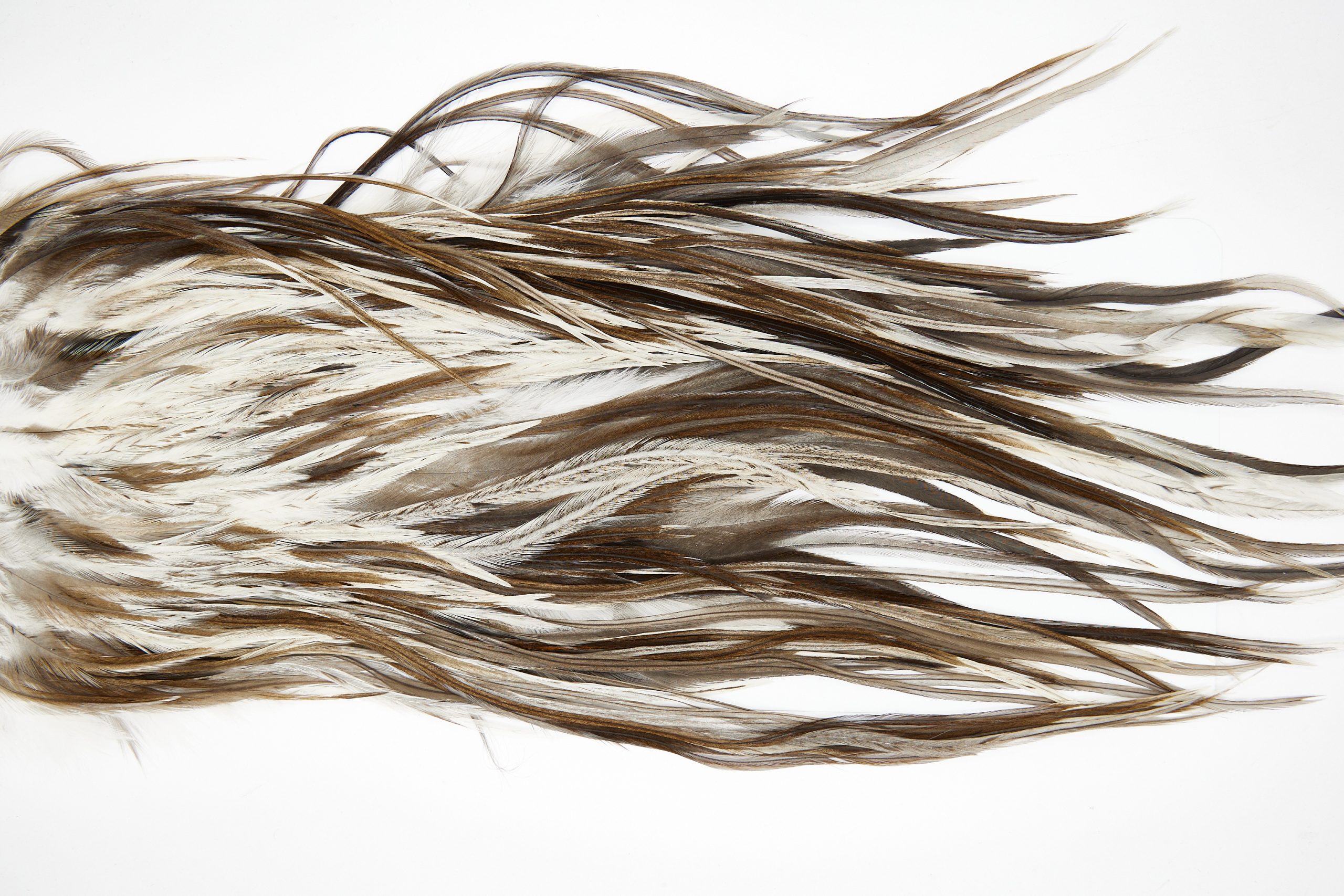 11433 JimsFlyCo Dry Fly Hackle Grade 3 Rooster Saddle Dun Splash Ties Size 10-14