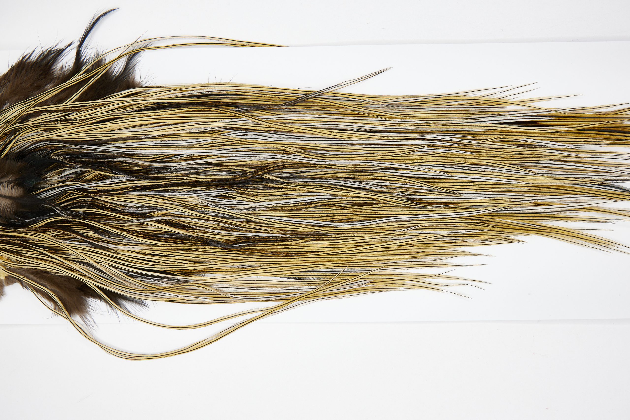 11439 JimsFlyCo Dry Fly Hackle Grade 3 Rooster Saddle Badger Ties Size 14-16