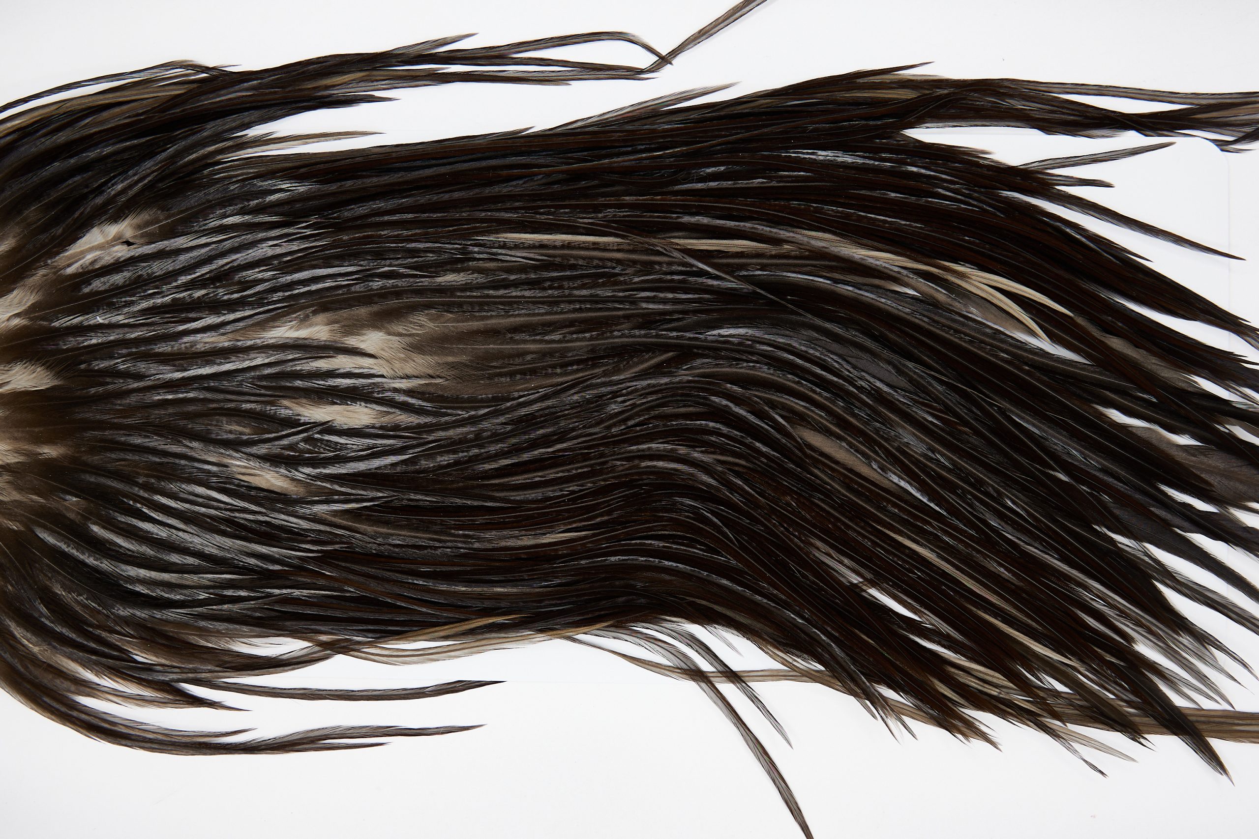 11440 JimsFlyCo Dry Fly Hackle Grade 3 Rooster Saddle Dark Dun Ties Size 12-14