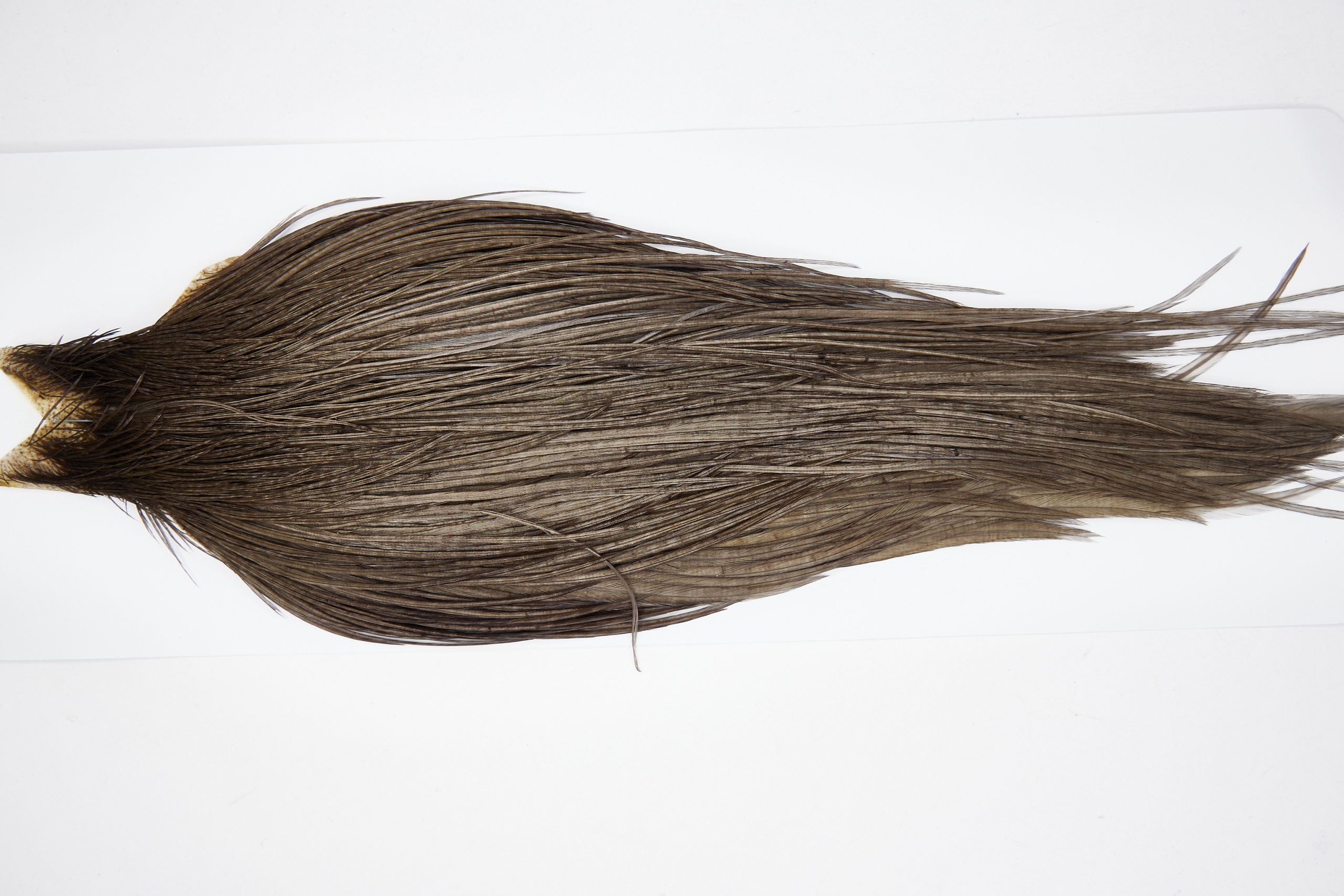 11442 JimsFlyCo Dry Fly Hackle Rhodium Rooster Cape Grey Dun Ties Size 10-22