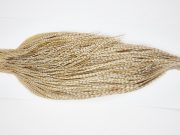 11443 JimsFlyCo Dry Fly Hackle Grade 1 Rooster Cape Grizzly Dun Variant Ties Size 10-22