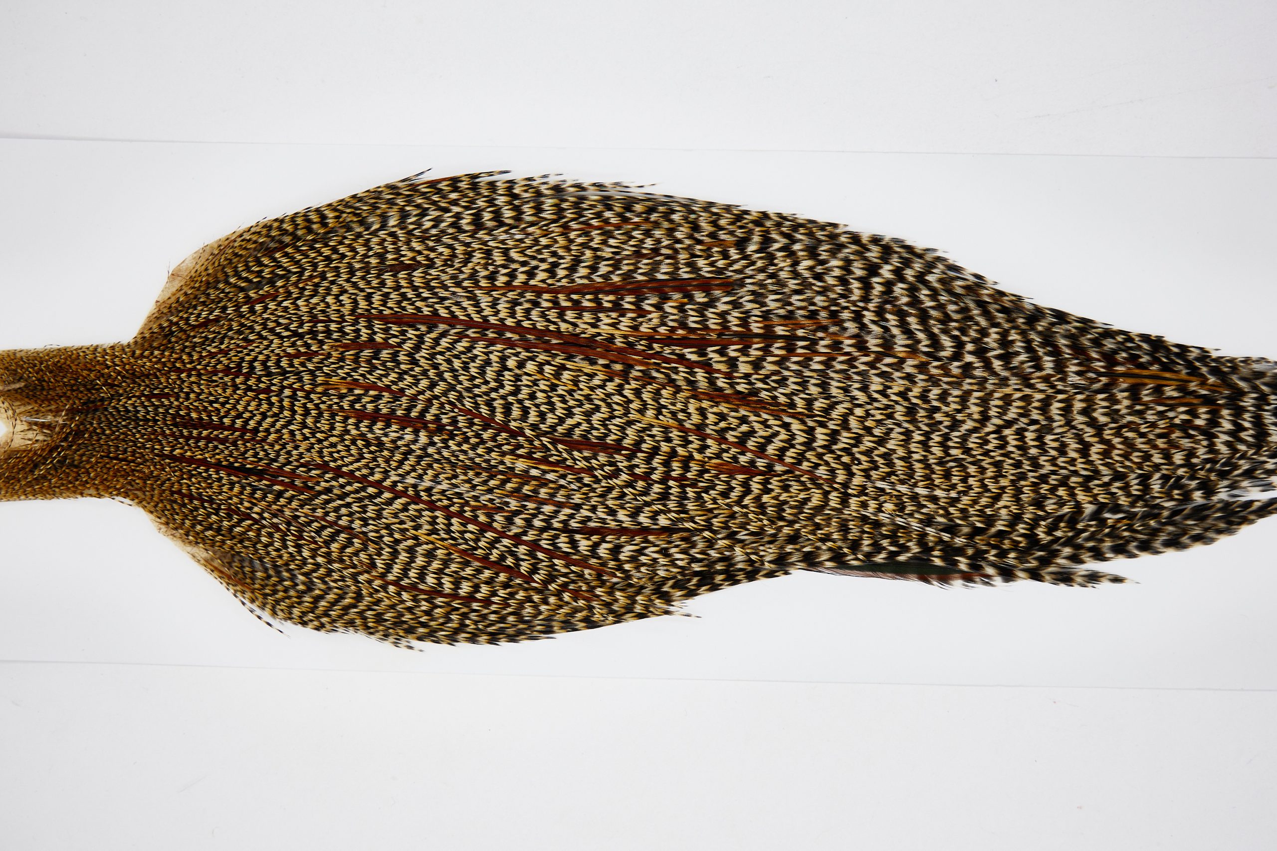 11449 JimsFlyCo Dry Fly Hackle Grade 1 Rooster Cape Cree Ties Size 10-22