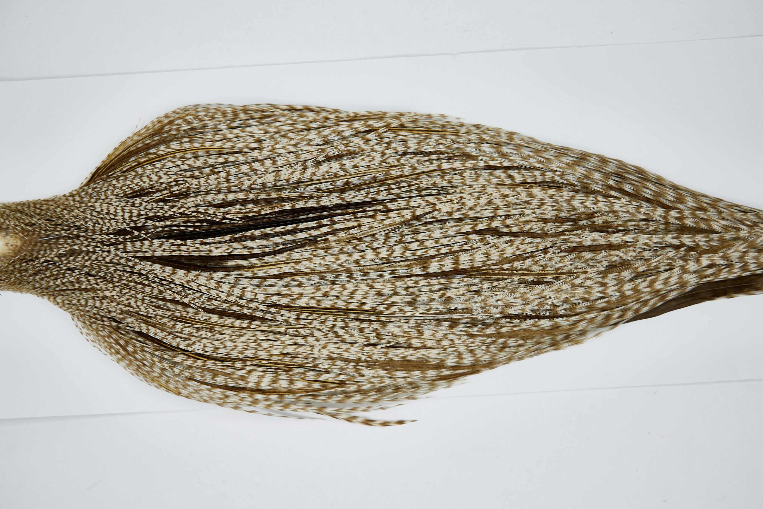 11453 JimsFlyCo Dry Fly Hackle Grade 1 Rooster Cape Grizzly Dun Variant Ties Size 8-22