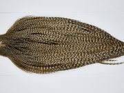 11454 JimsFlyCo Dry Fly Hackle Grade 1 Rooster Cape Grizzly Dun Variant Ties Size 10-22