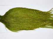 11476 JimsFlyCo Dry Fly Hackle Grade 2 Rooster Cape Variant Ties Size 12-22