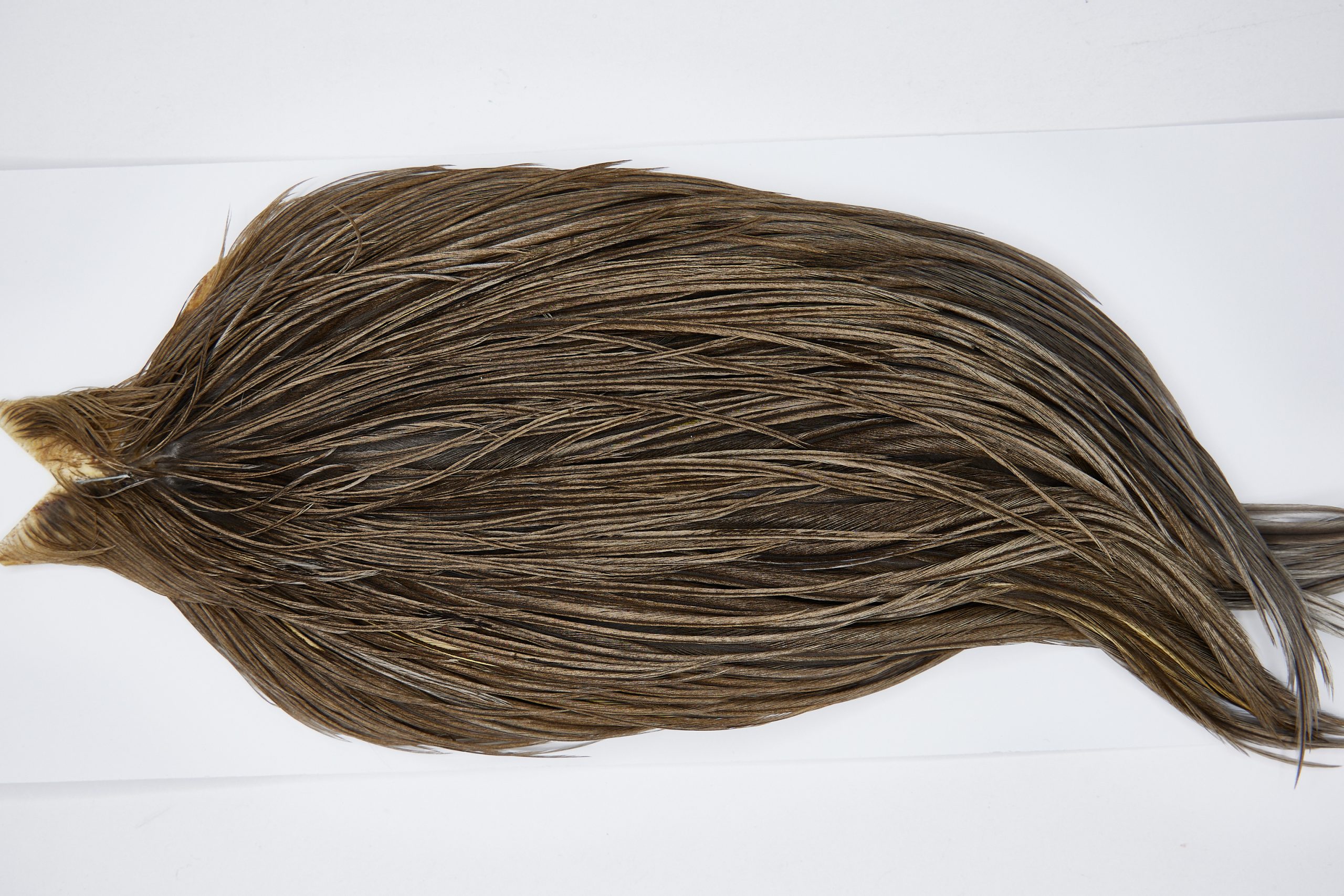 11478 JimsFlyCo Dry Fly Hackle Grade 2 Rooster Cape Dark Dun Ties Size 10-22