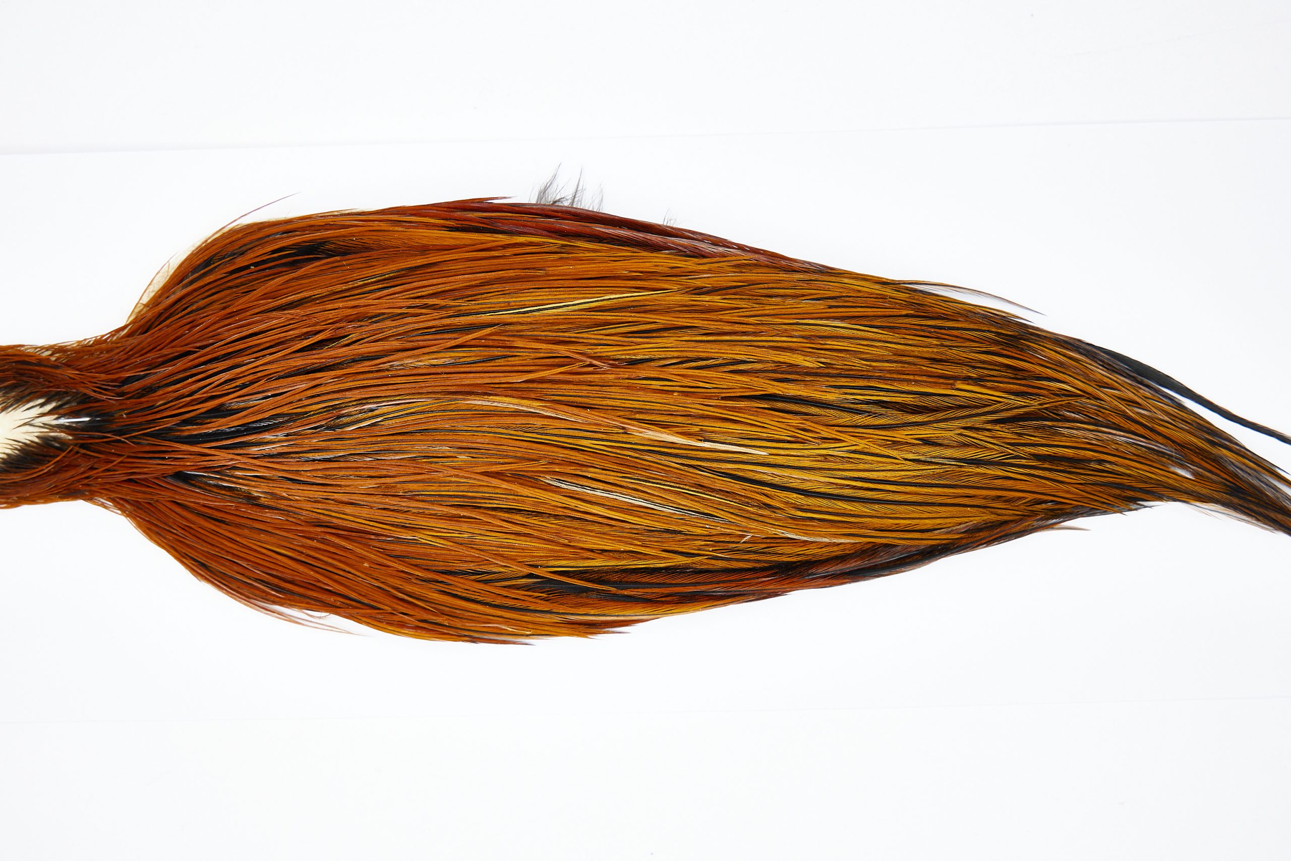 11480 JimsFlyCo Dry Fly Hackle Grade 2 Rooster Cape Furnace Ties Size 10-22