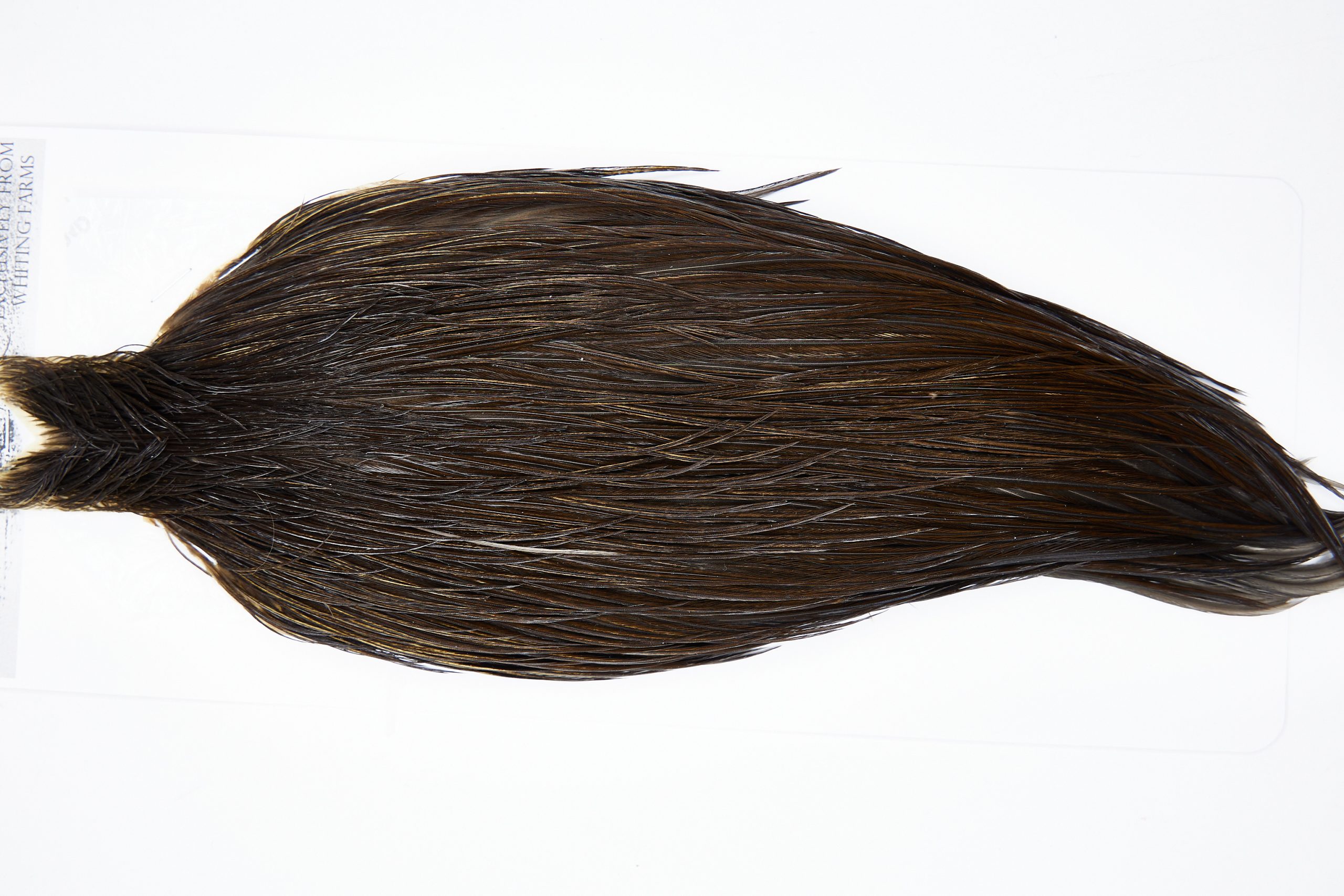 11494 Beaverkill Dry Fly Hackle Rooster Cape Dark Brown Dun Ties Size 8-22