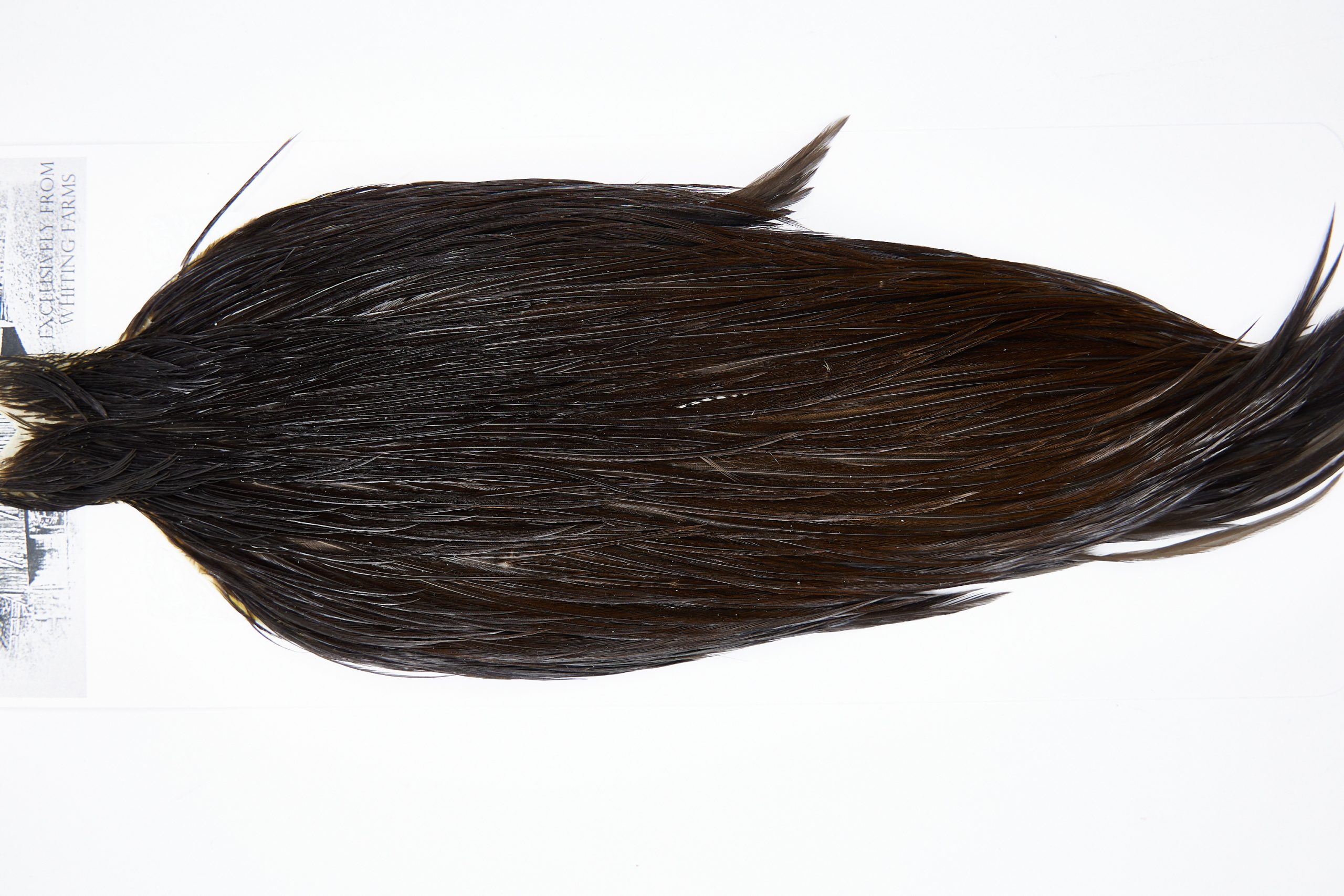 11495 Beaverkill Dry Fly Hackle Rooster Cape Dark Brown Dun Ties Size 8-20