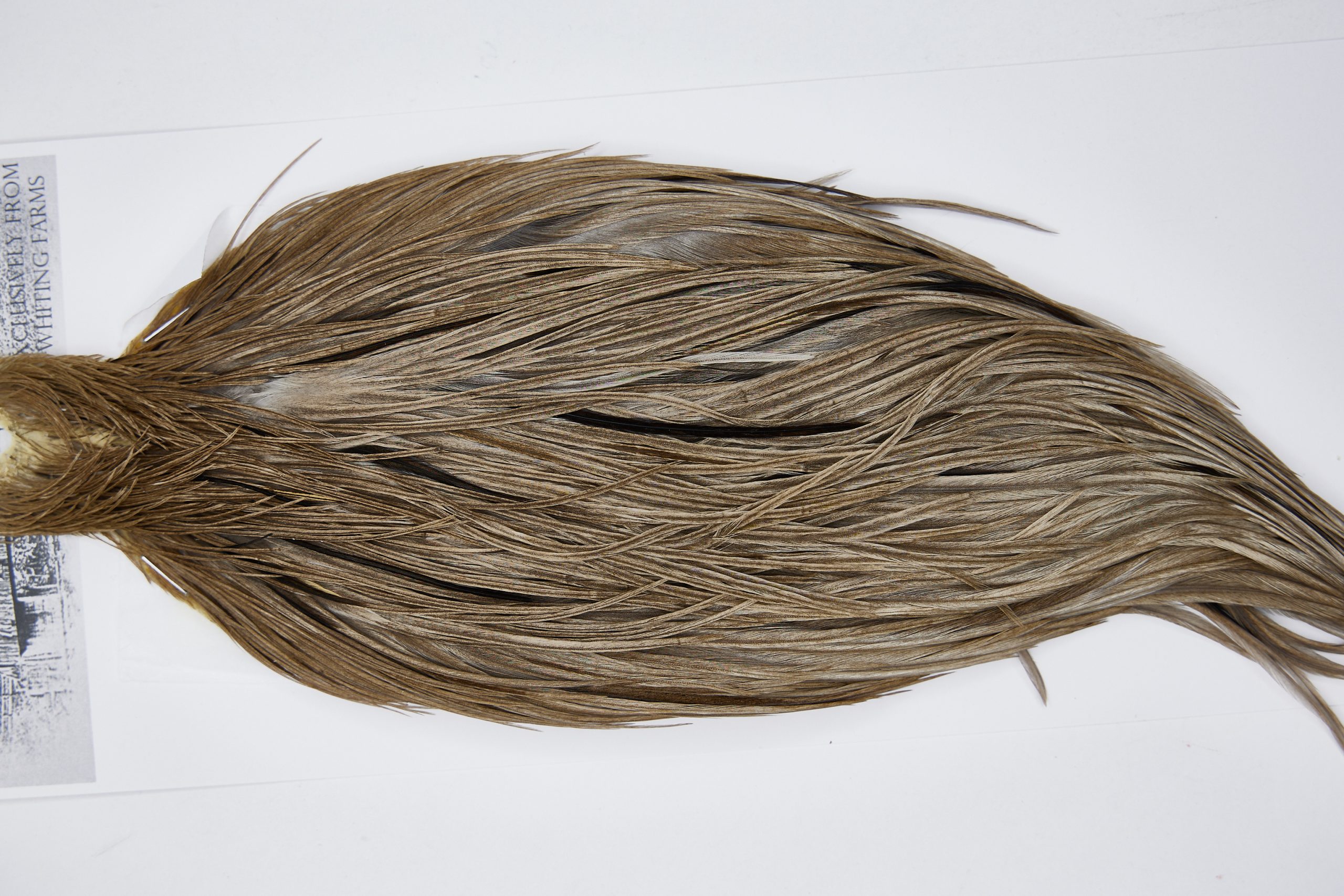 11497 Beaverkill Dry Fly Hackle Rooster Cape Medium Grey Dun Ties Size 8-20