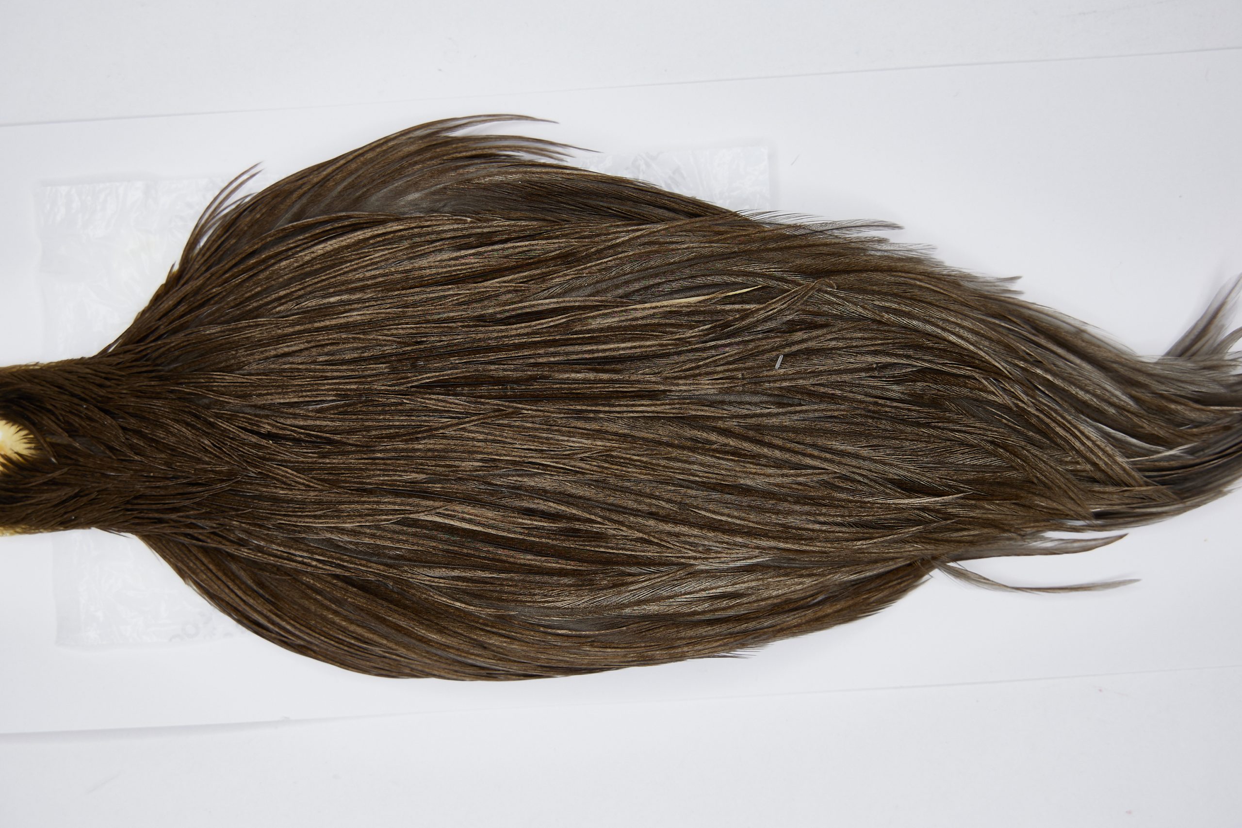 11498 Beaverkill Dry Fly Hackle Rooster Cape Dark Grey Dun Ties Size 8-20