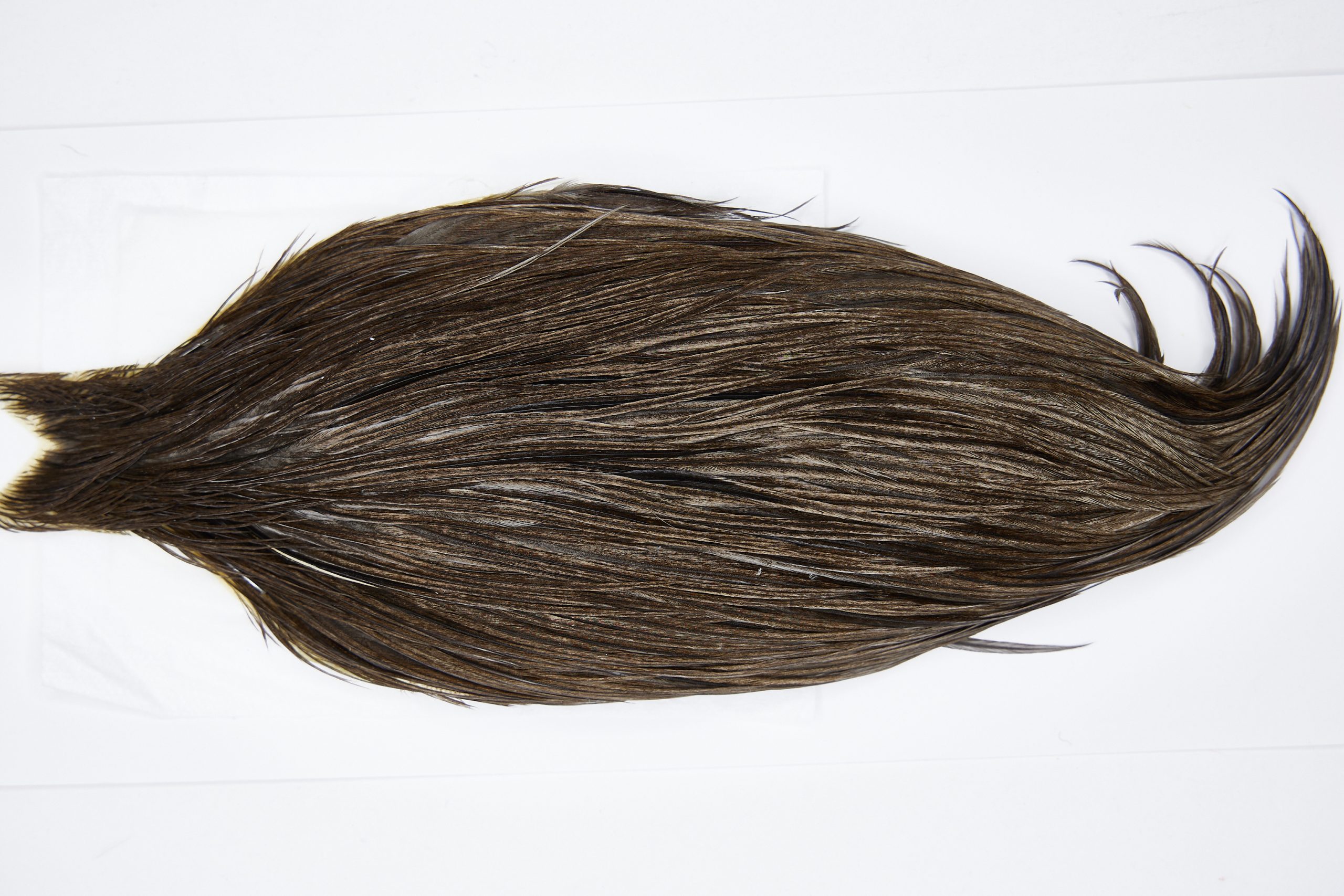 11500 Beaverkill Dry Fly Hackle Rooster Cape Dark Grey Dun Ties Size 8-20