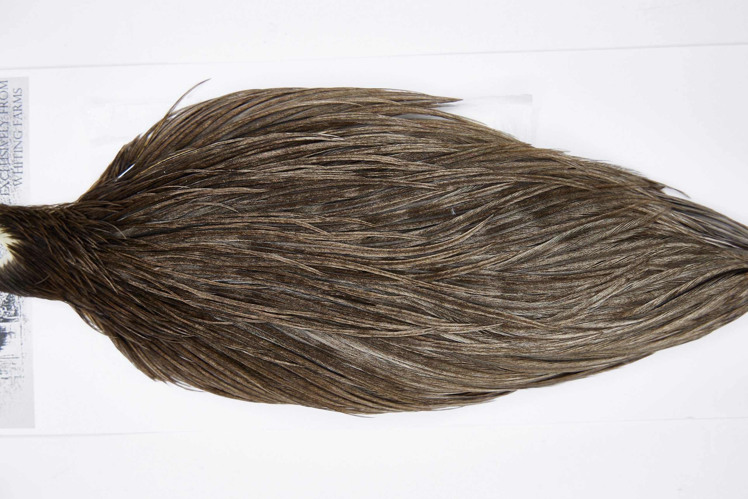 11501 Beaverkill Dry Fly Hackle Rooster Cape Dark Grey Dun Ties Size 6-18