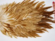 11516 Whiting Wet Fly Hen Saddle Medium Ginger